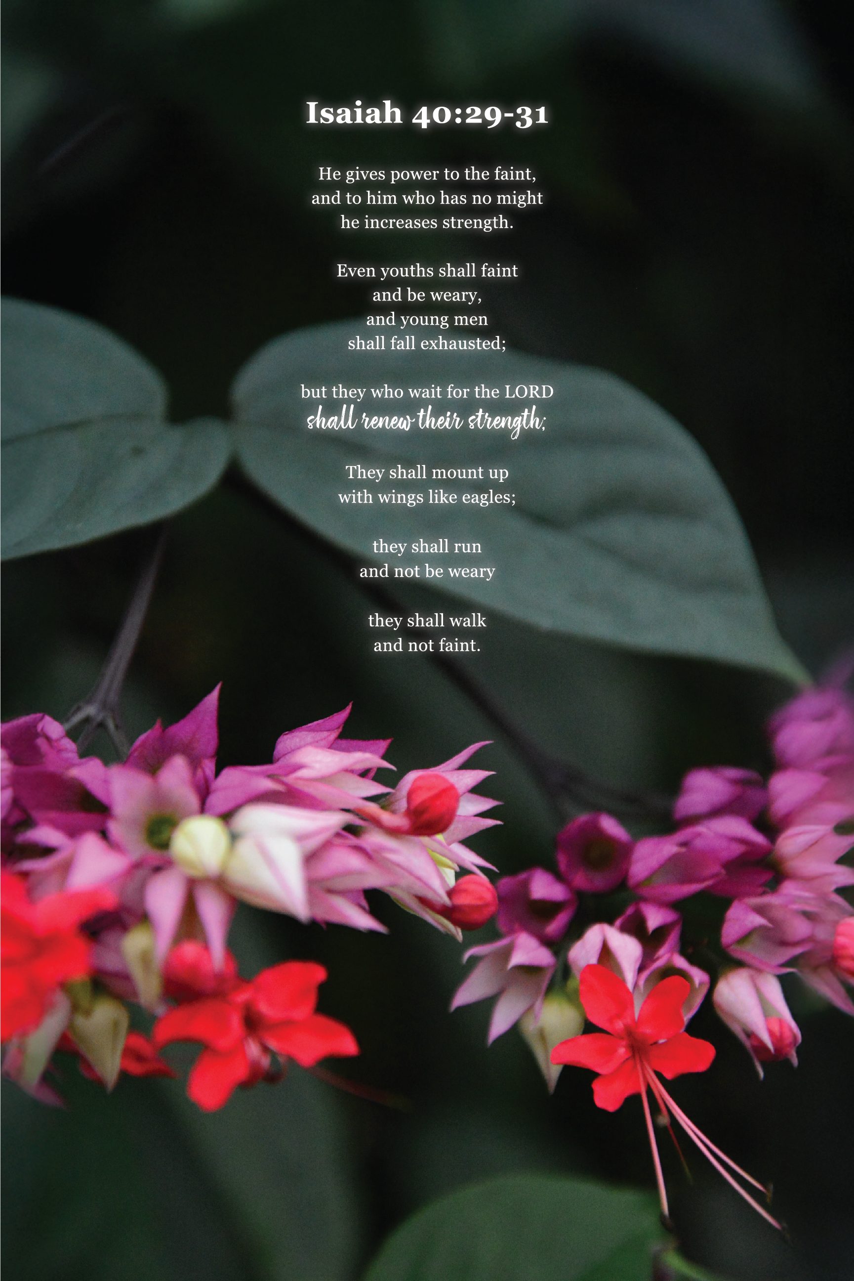 A Bible verse from Isaiah 40:29-31 is displayed over a background of green leaves and pink, purple, and red flowers.