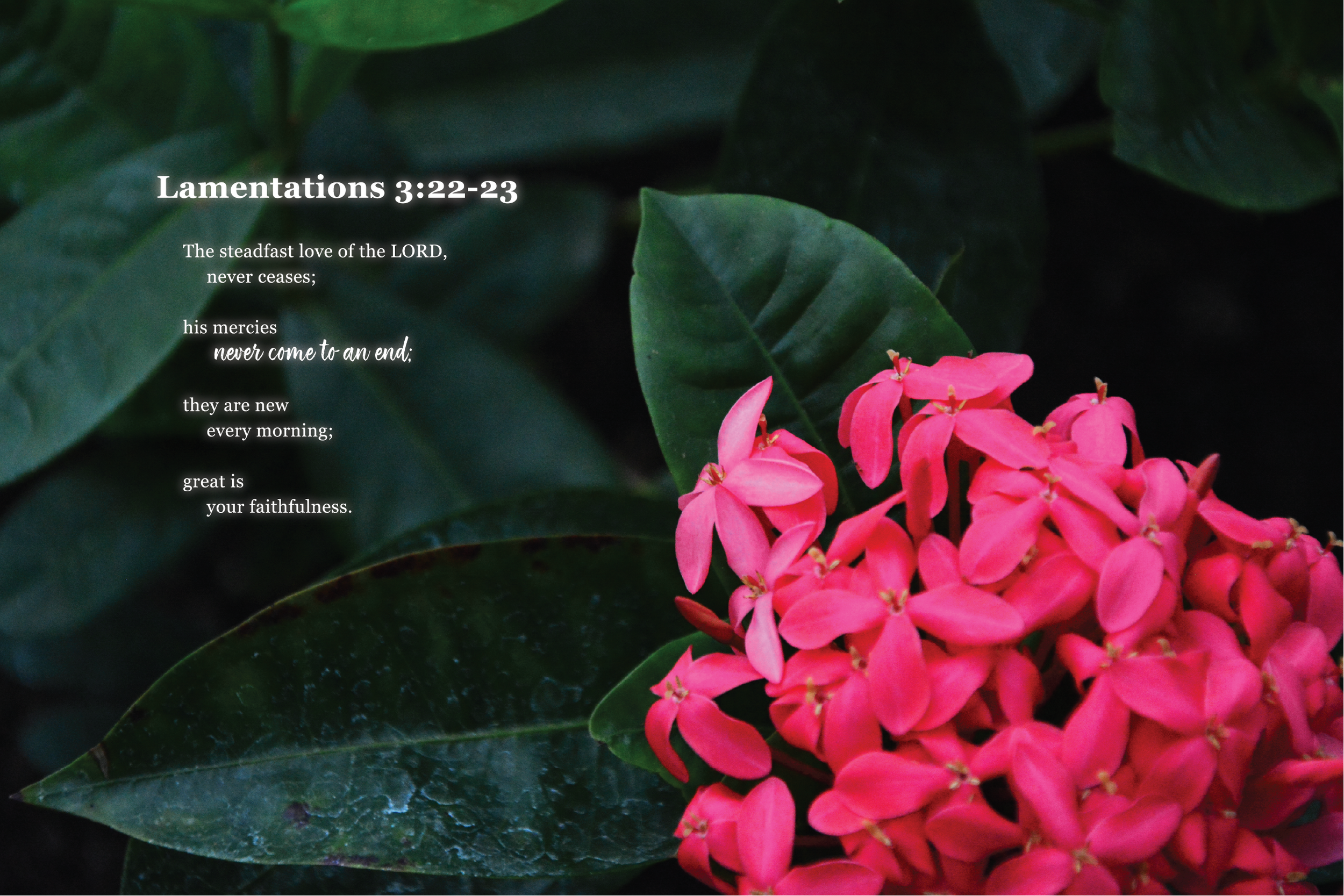 Text overlay on a background of green leaves and pink flowers, featuring a Bible verse from Lamentations 3:22-23 about God's steadfast love and mercy.