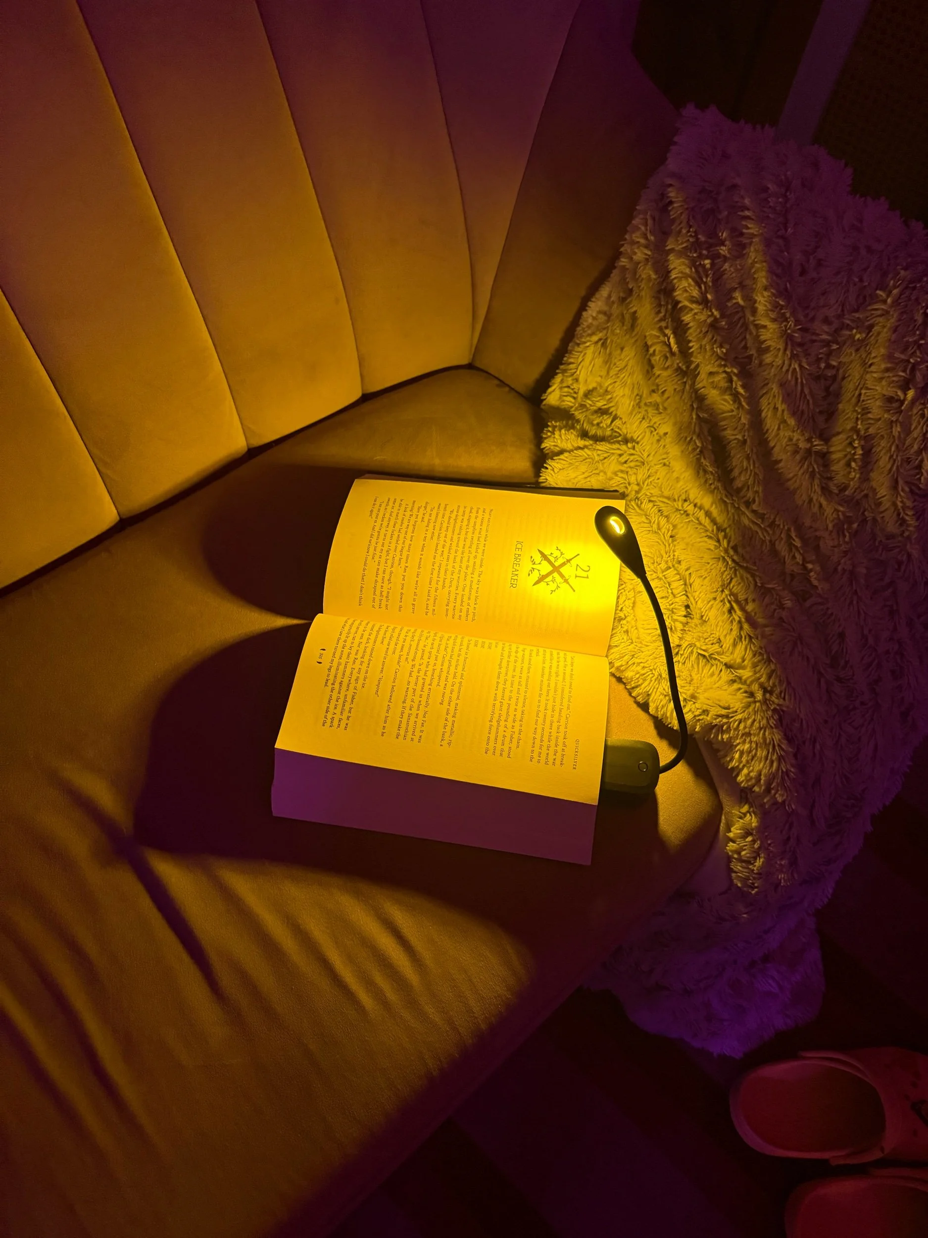 book buddy reading light