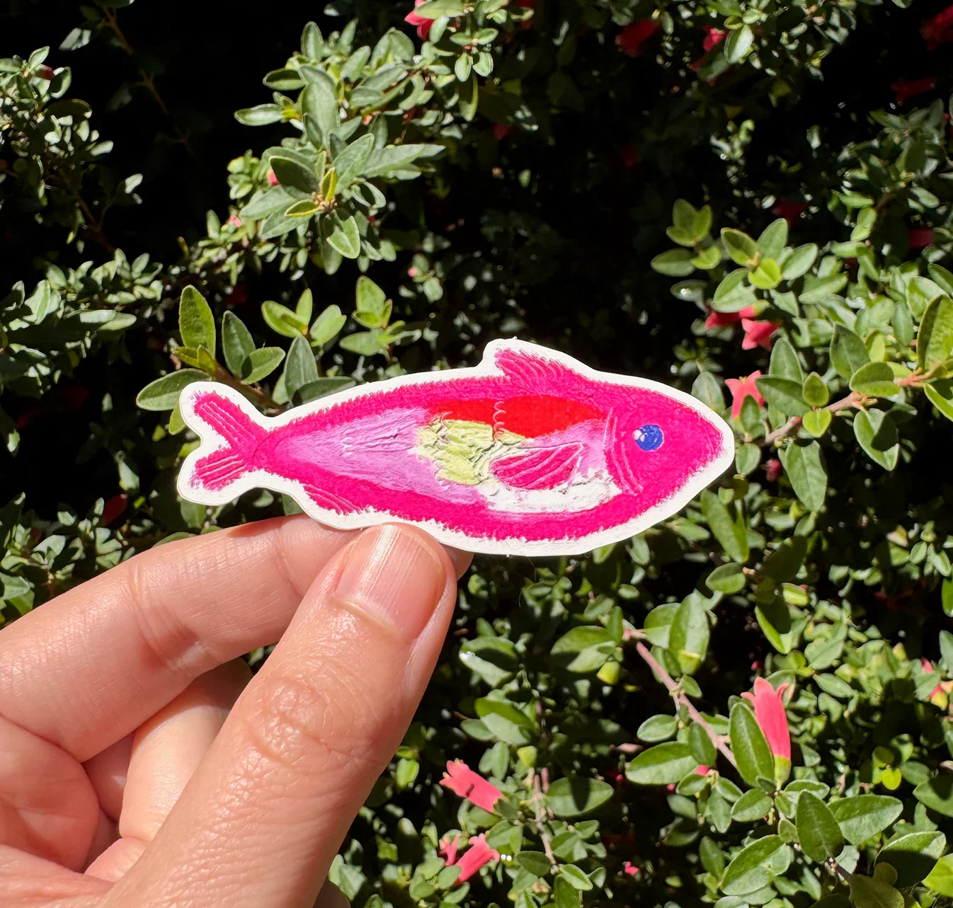0001_Sardine.webp