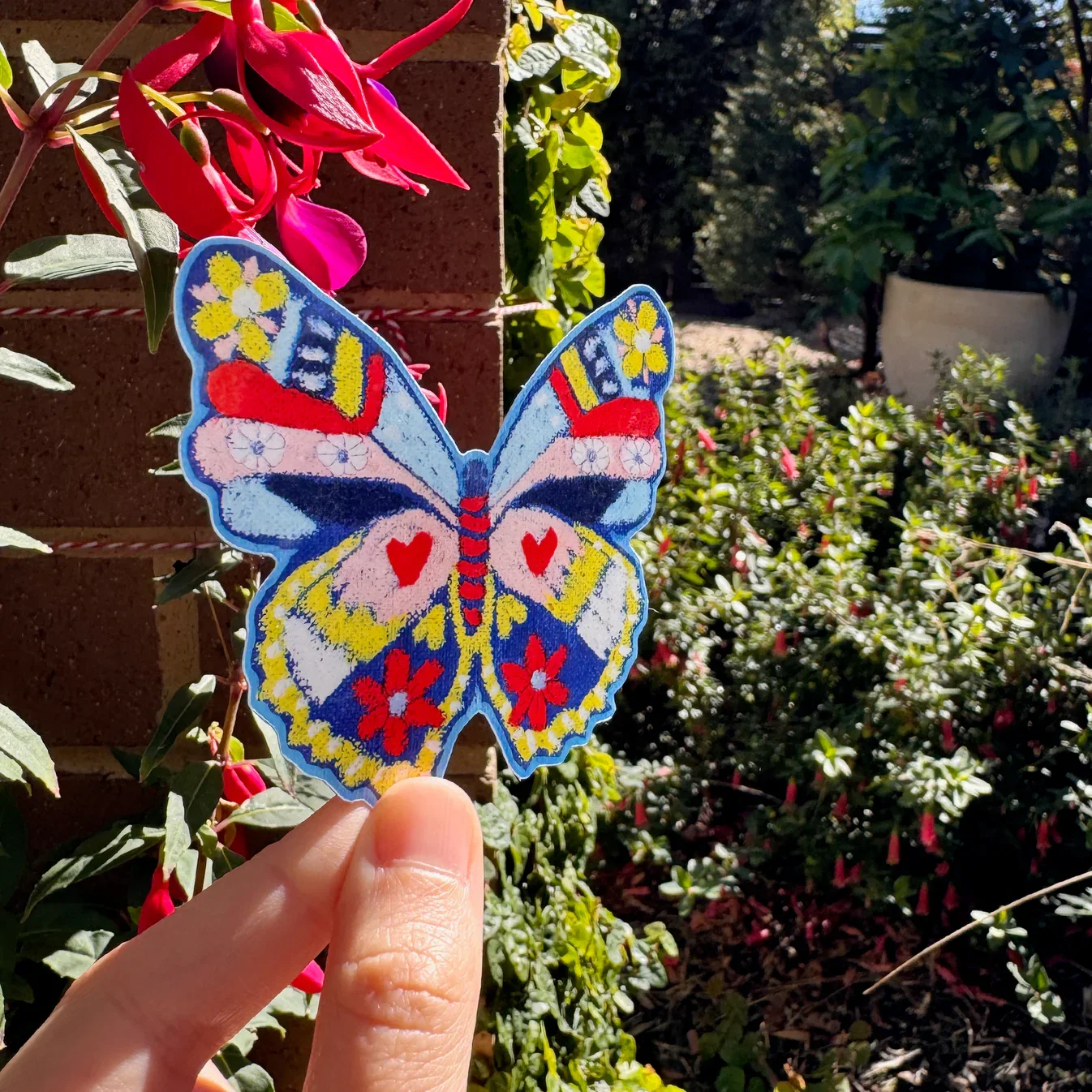0000_Butterfly.webp