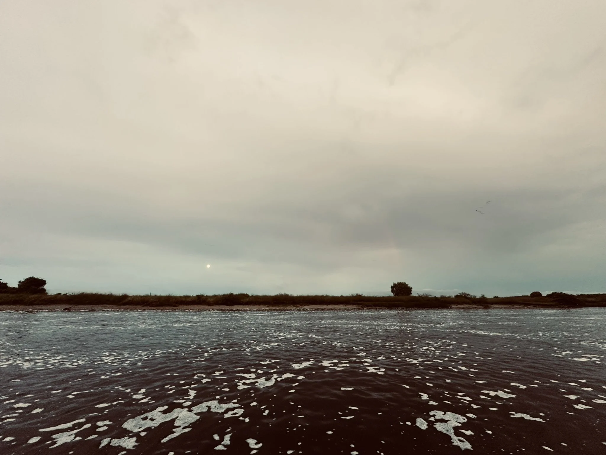 IMG_9567.JPEG