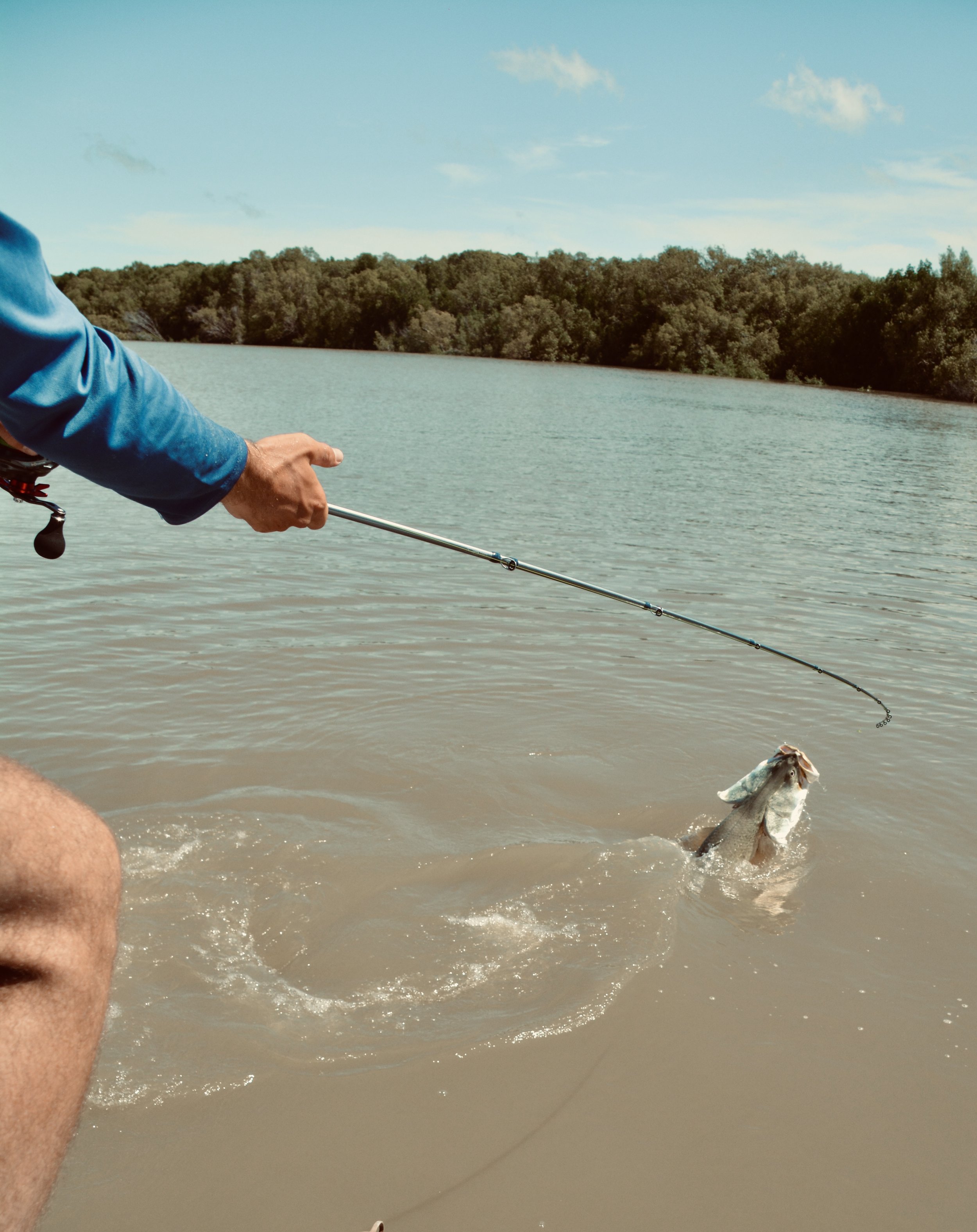 DSC_0203.JPEG