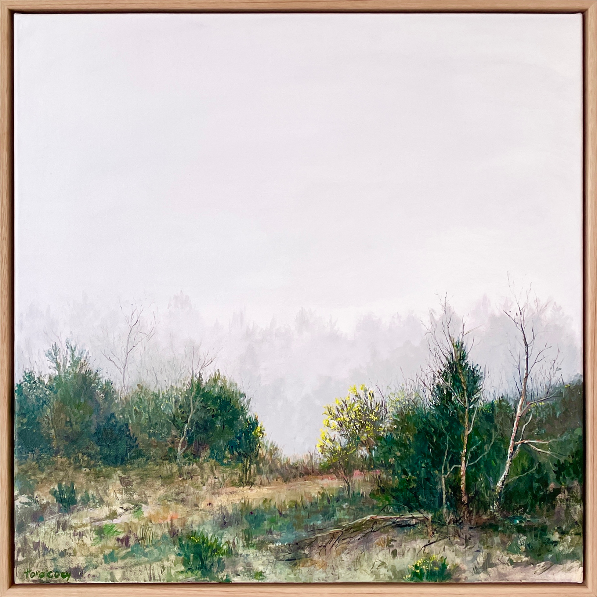 Tara Coey - A subtle shift