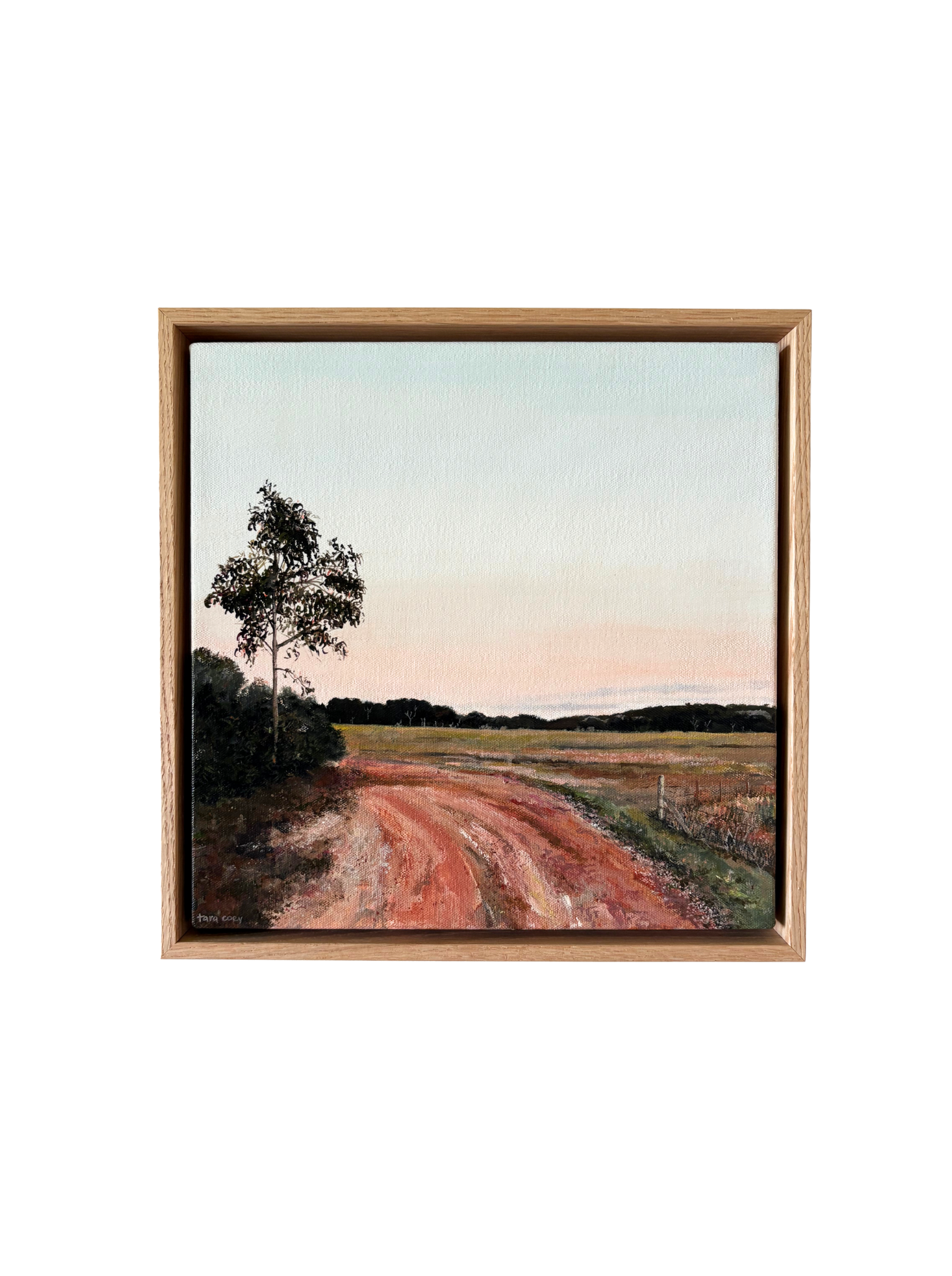 Before the Light Falls