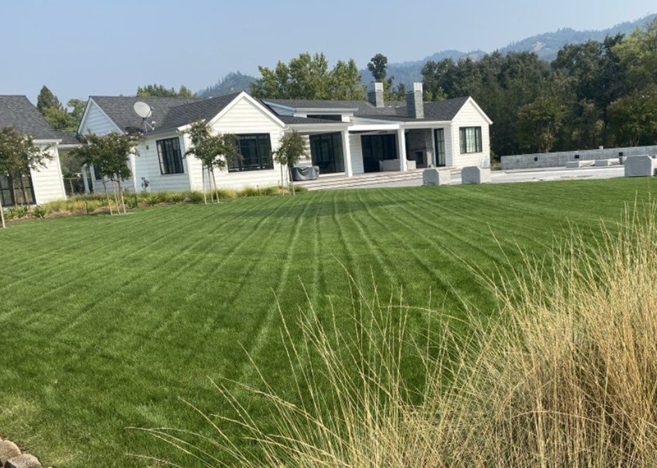 Expansive, professionally manicured lawn with clean mowing lines and lush green turf – maintained by Novara Landscape in Sonoma County