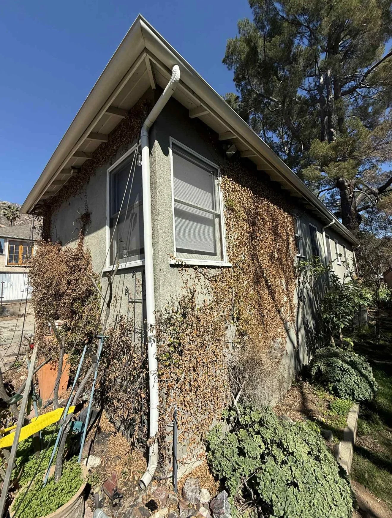 WhatsApp Image 2025-10-27 at 18.31.25_8432a31b.jpg