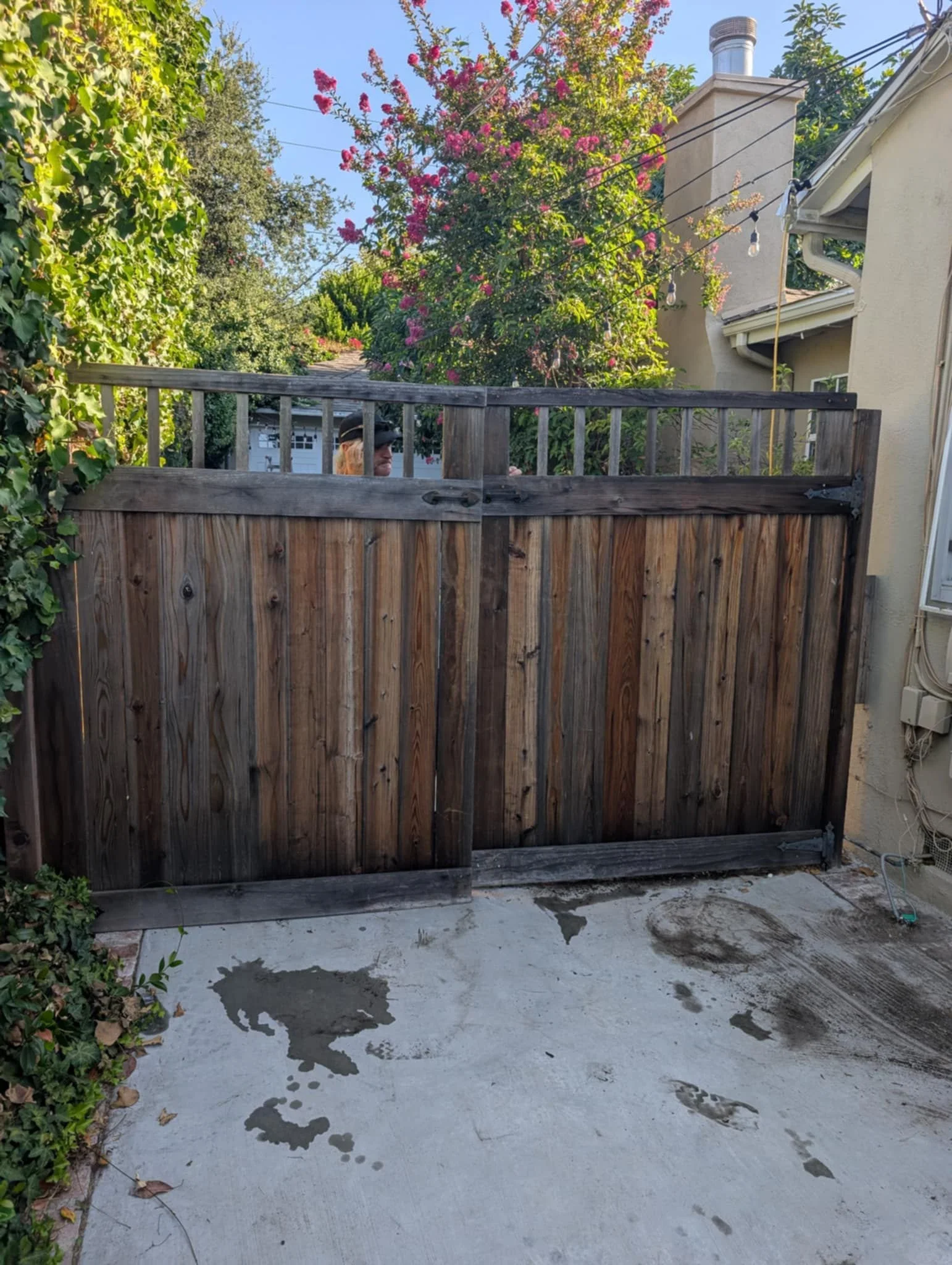 WhatsApp Image 2025-08-08 at 19.14.01_13a26e93.jpg