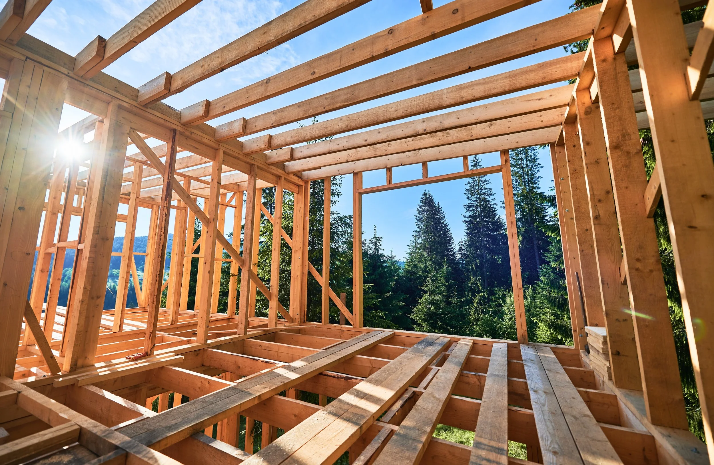 Framing wood structure of a house under construction in a forested area with tall evergreen trees and sunlight