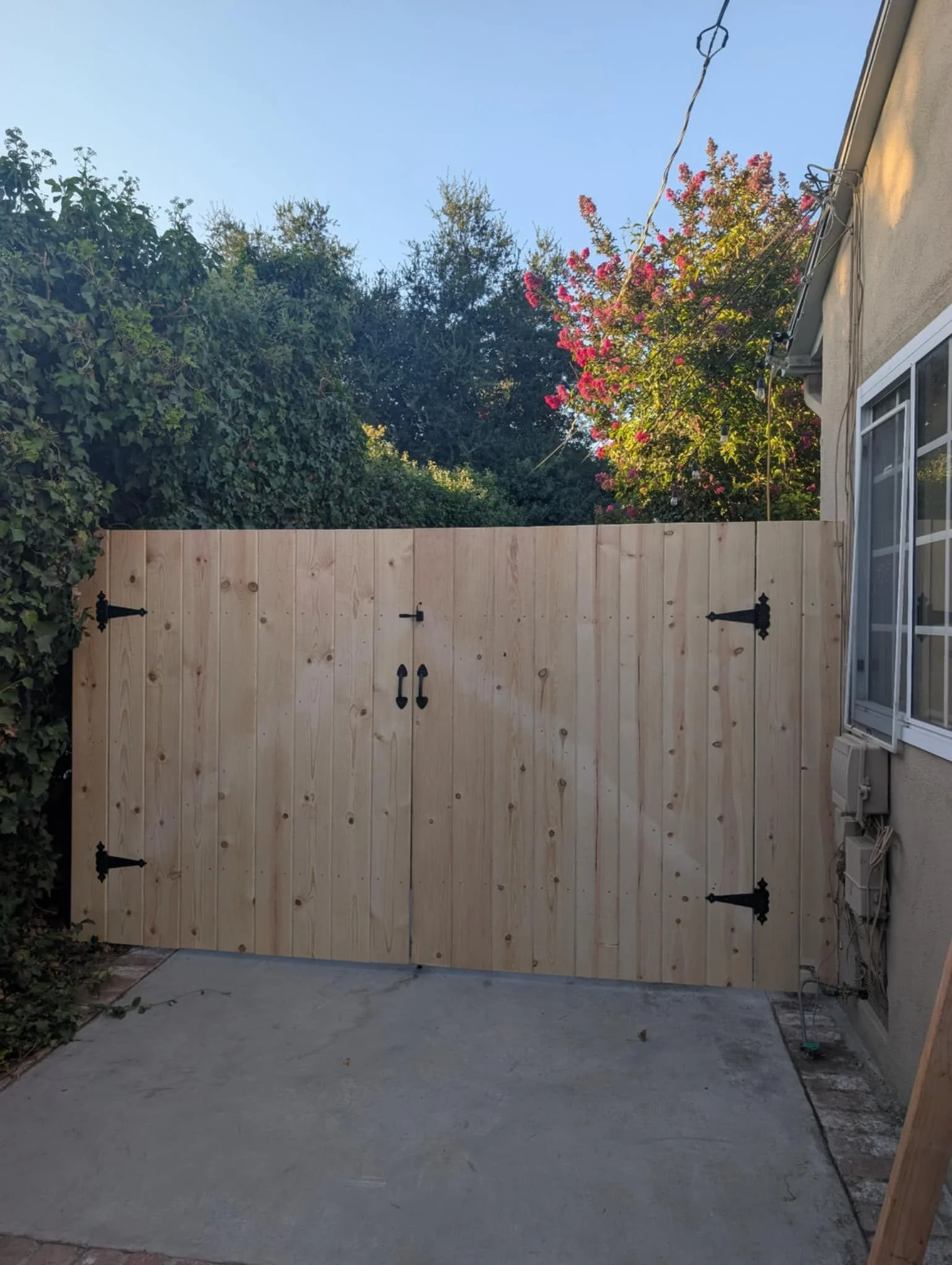 WhatsApp Image 2025-08-08 at 19.14.01_13b52342.jpg