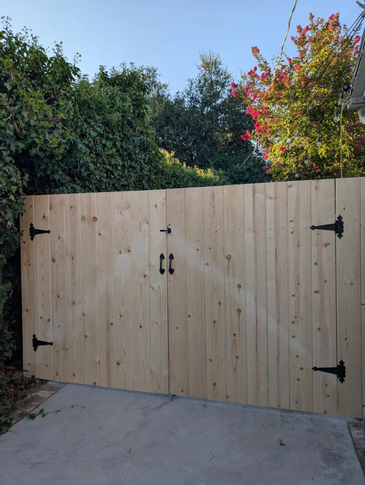 WhatsApp Image 2025-08-08 at 19.14.02_03e670ff.jpg