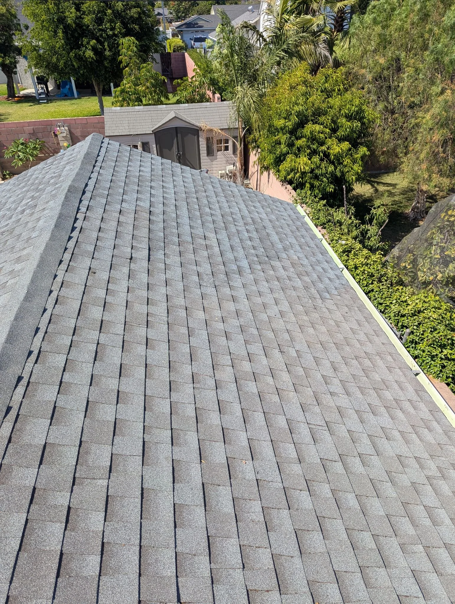 WhatsApp Image 2025-08-08 at 19.06.21_24978117.jpg