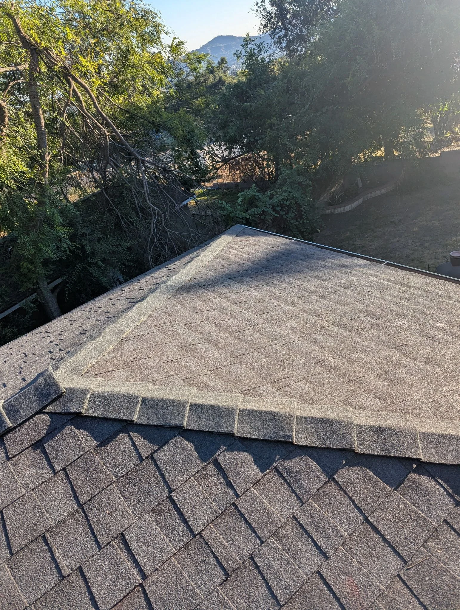 WhatsApp Image 2025-08-08 at 19.06.19_f0ba90d6.jpg