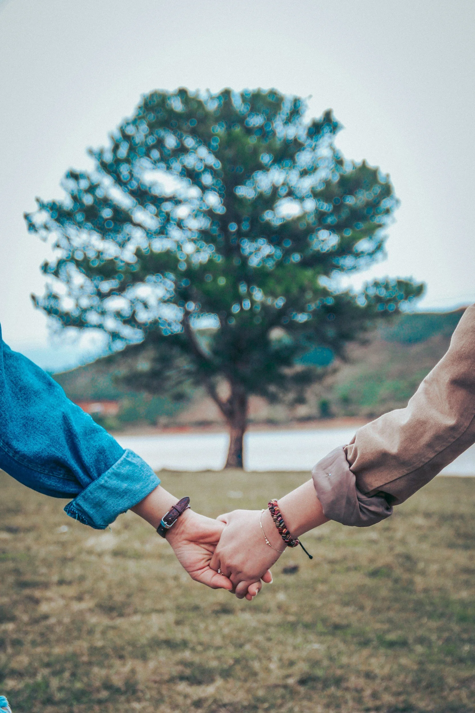 Two people holding hands outdoors with a large tree in the background.