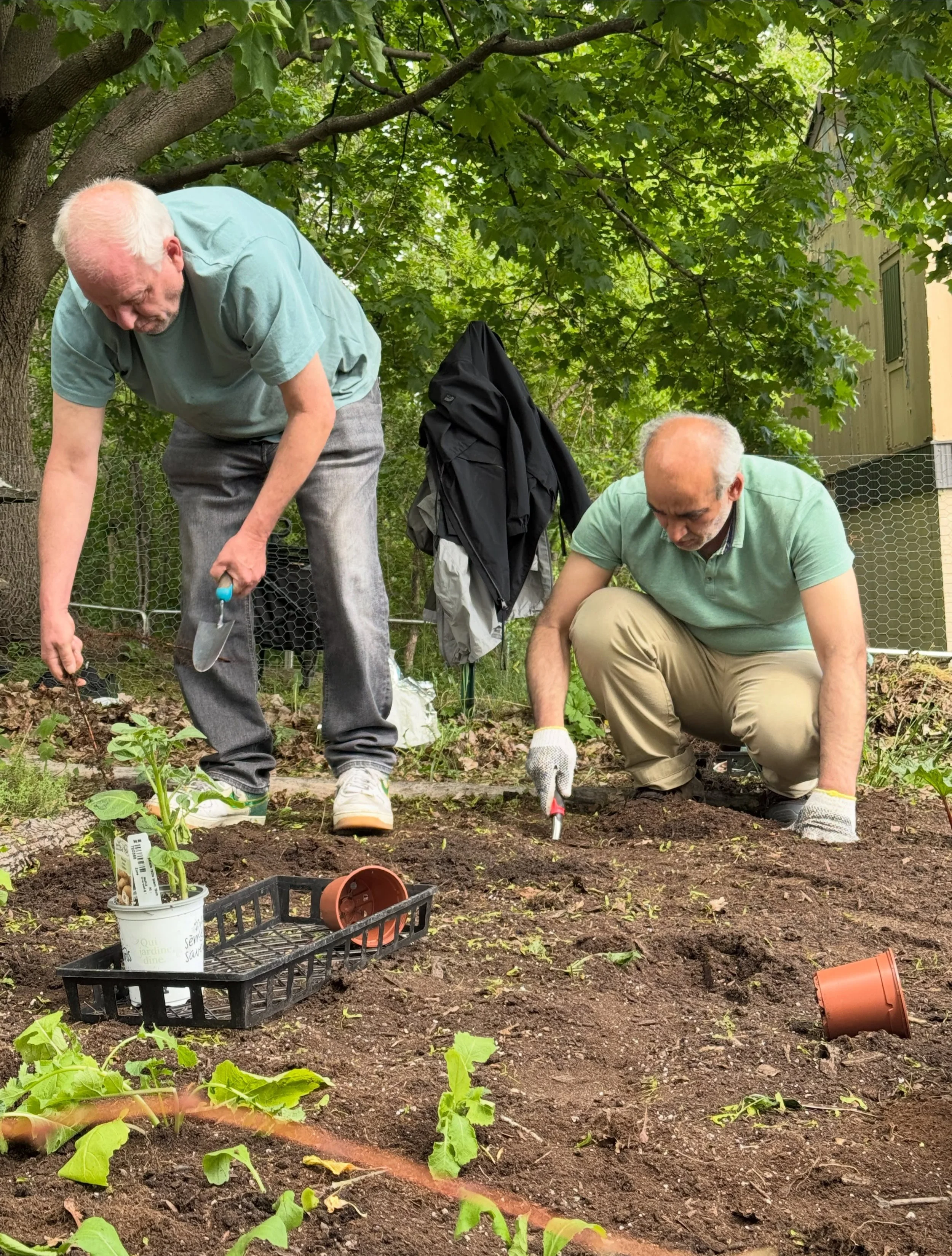 Jardin club amien 2026, les d&eacute;buts l&rsquo;autre fois 🌱