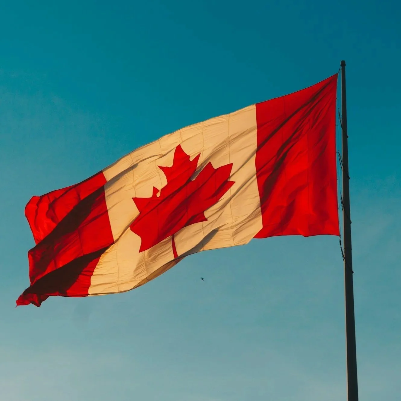 Canadian flag waving in the wind against a clear blue sky.