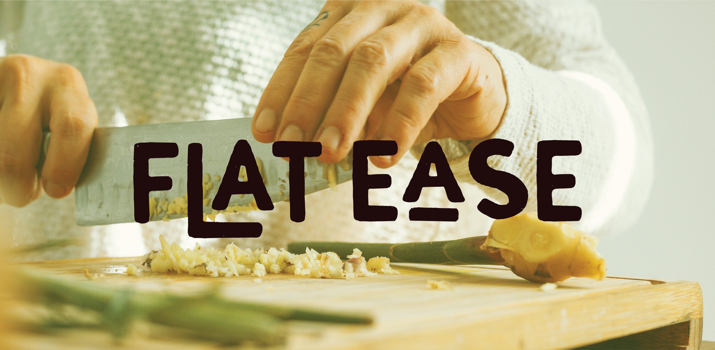 Flat Ease Logo Mockup 2