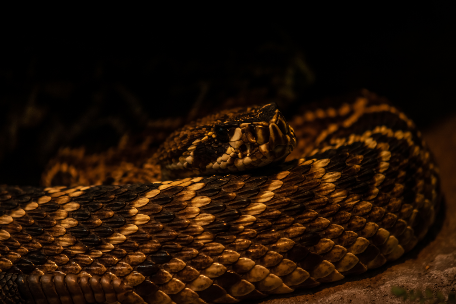 After the Call: What Our Emergency Response Team Does on Arrival