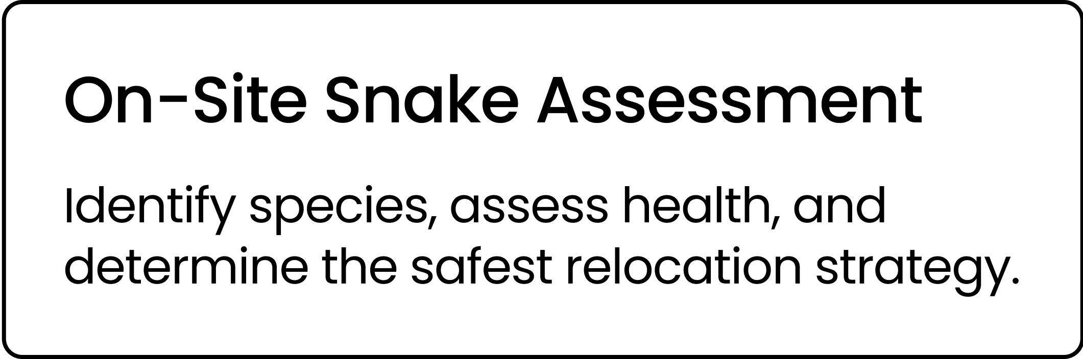 Rattlesnake Removal Phoenix | Professional Snake Relocation Near Me ...