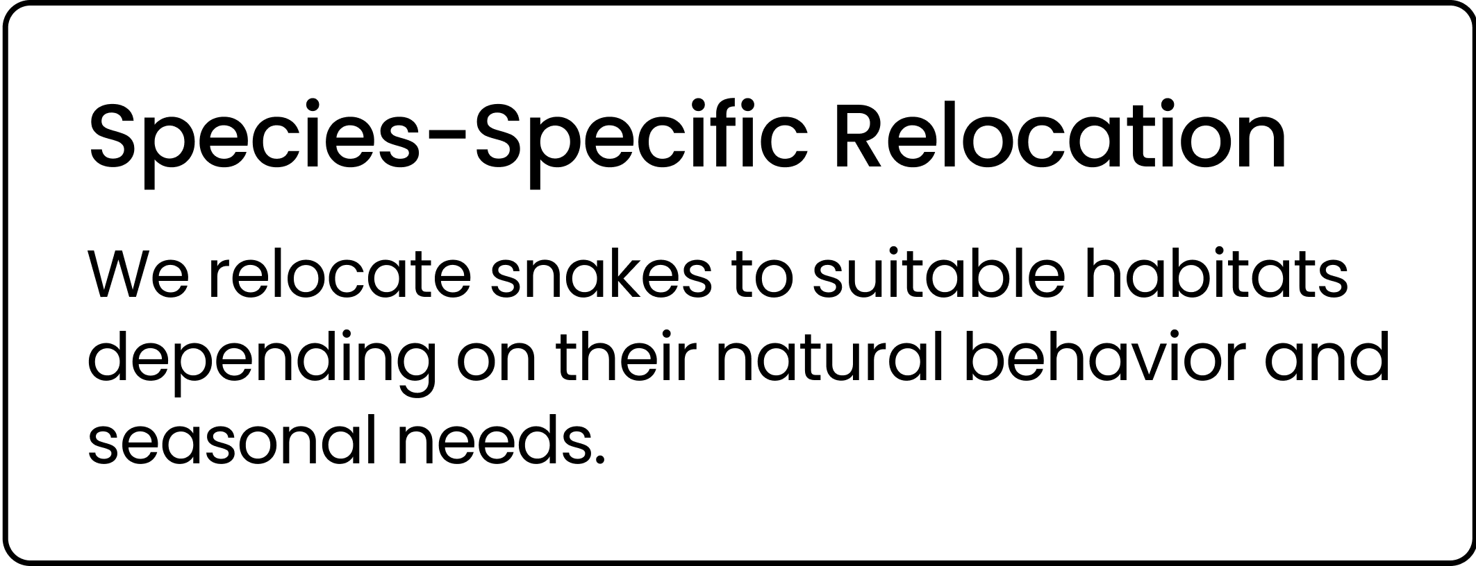 Rattlesnake Removal Phoenix | Professional Snake Relocation Near Me ...