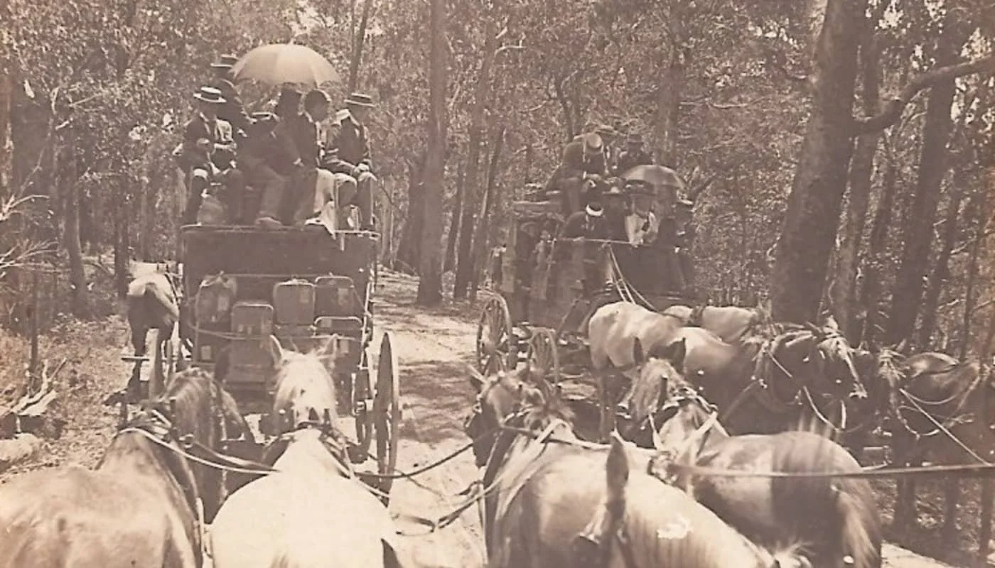 All aboard on the trails! 