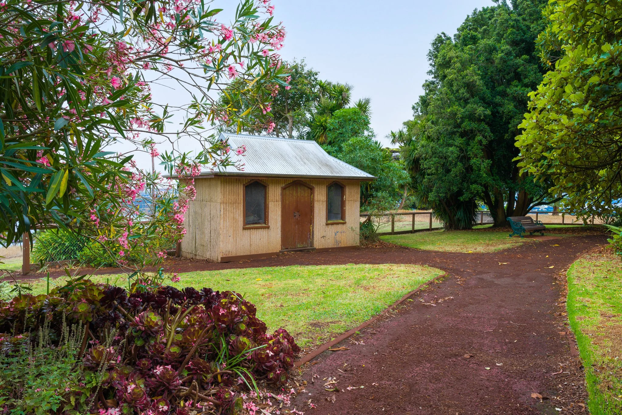 Camperdown Botanic Gardens.jpg