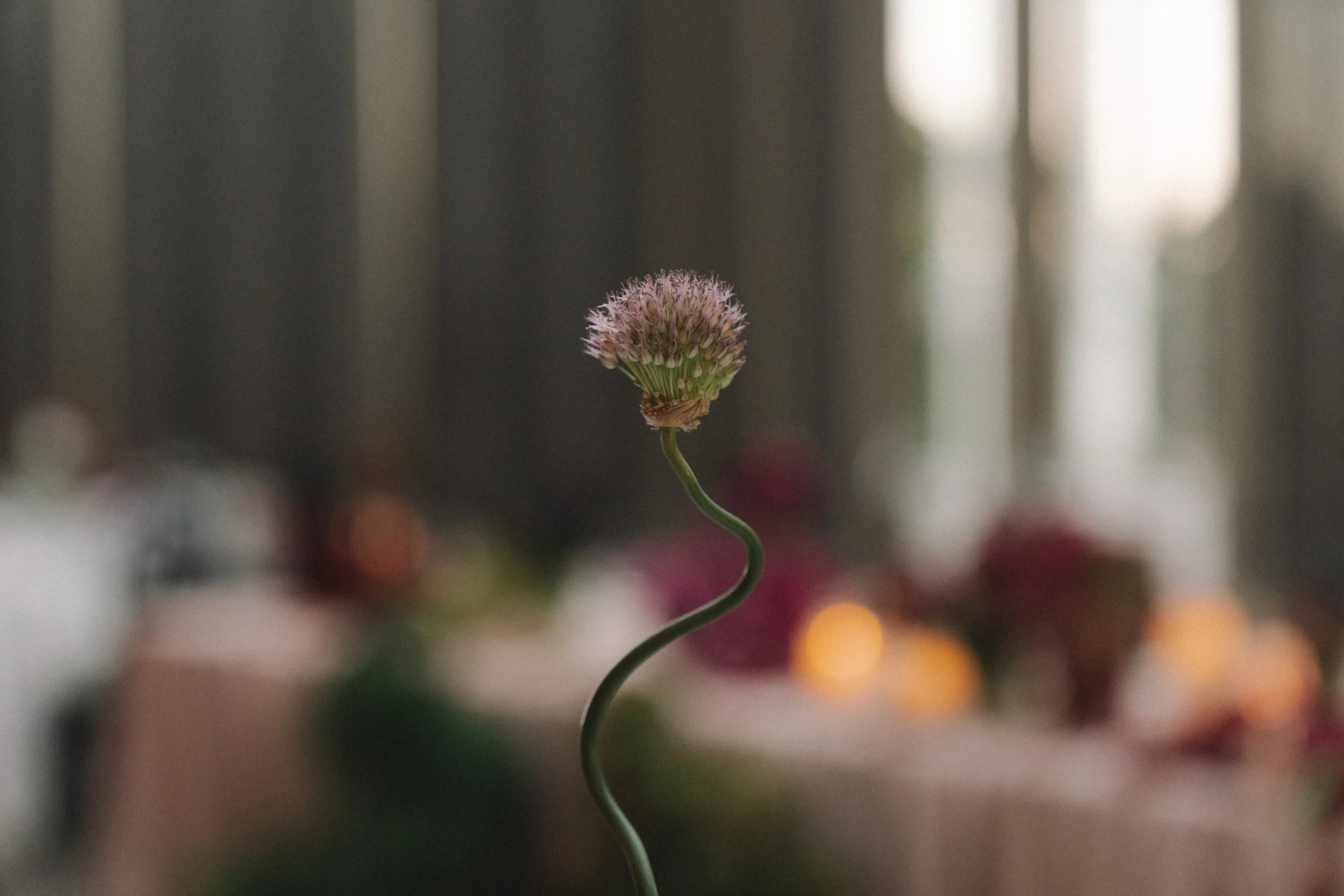 20260418-AMARAWEDDINGS-MADDY & PETER-0094.jpg