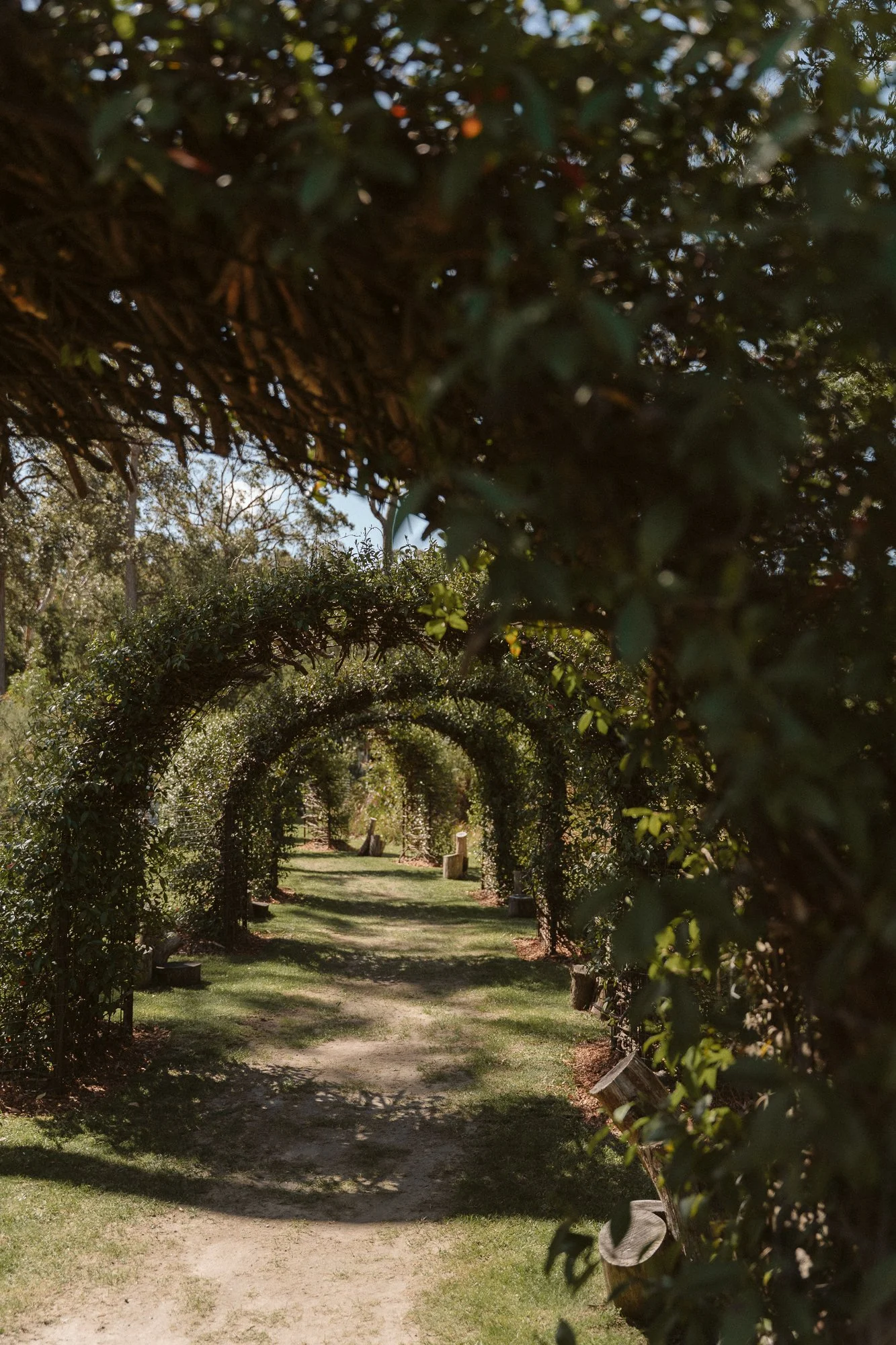 A pathway in a garden with a series of archways covered in greenery, with benches and trees along the path, under a sunny sky.