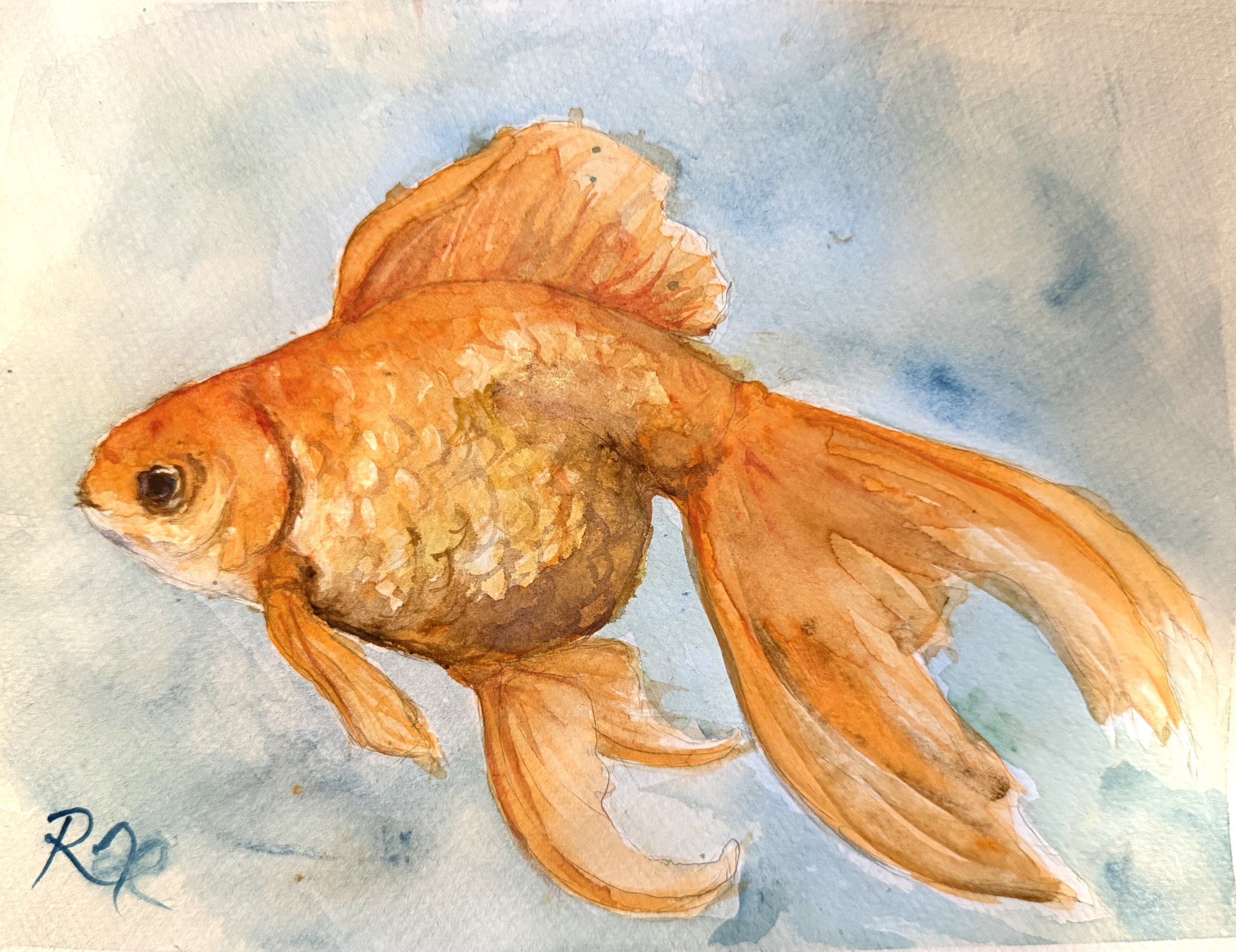 “Fatso” by Rachel Lachat (2025)
---
Fatso (aka Boofhead) finally turned himself the right way round to pose for his own picture.
---
Watercolour on Paper - 28 cm x 21 cm - AU$100