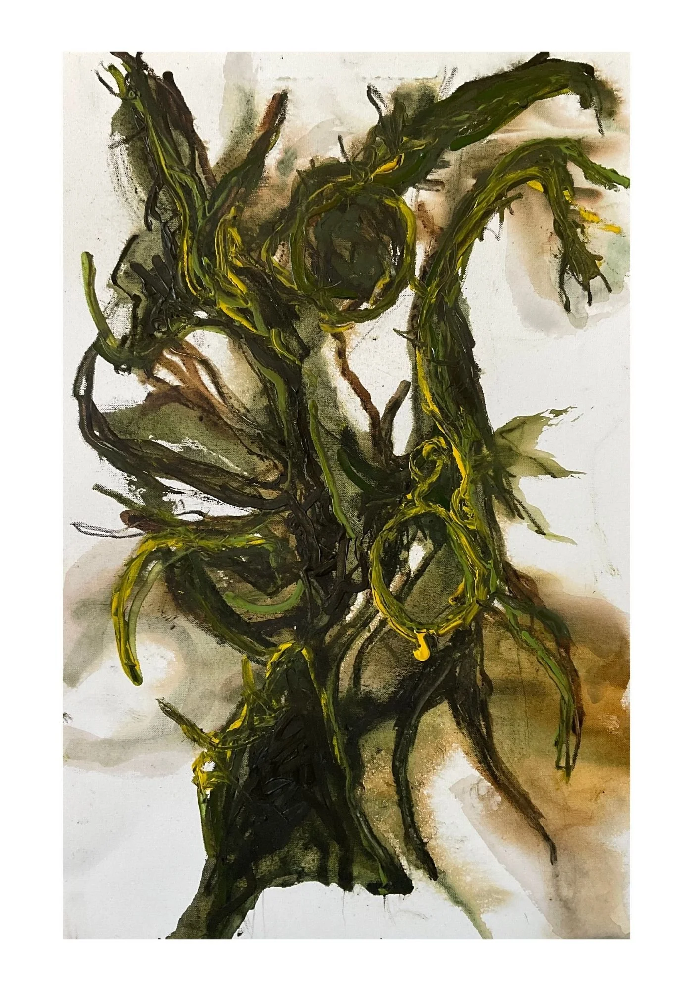 Fabrinno 33 x 50 cm Oil Paper 