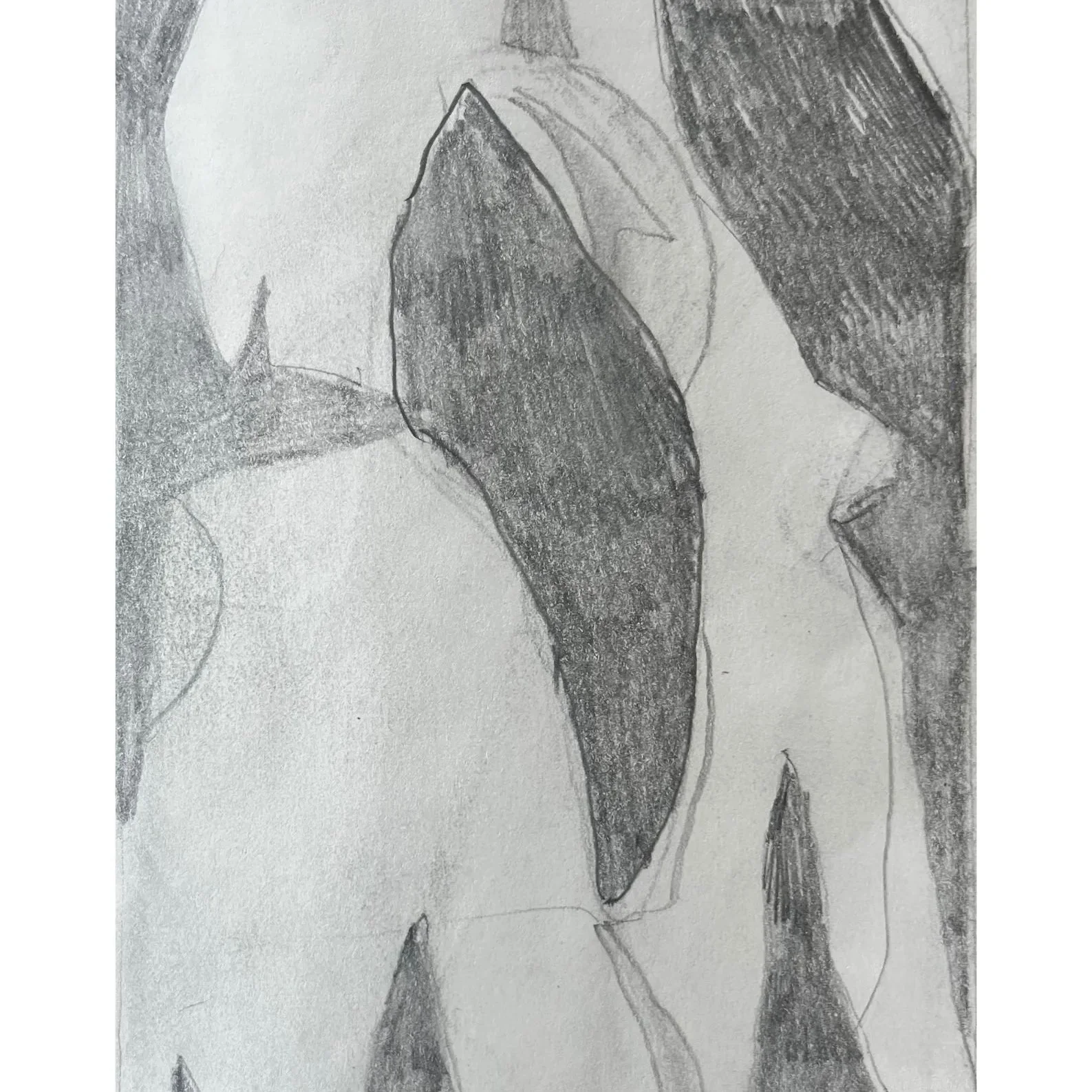 Drawing 2nd September 2025