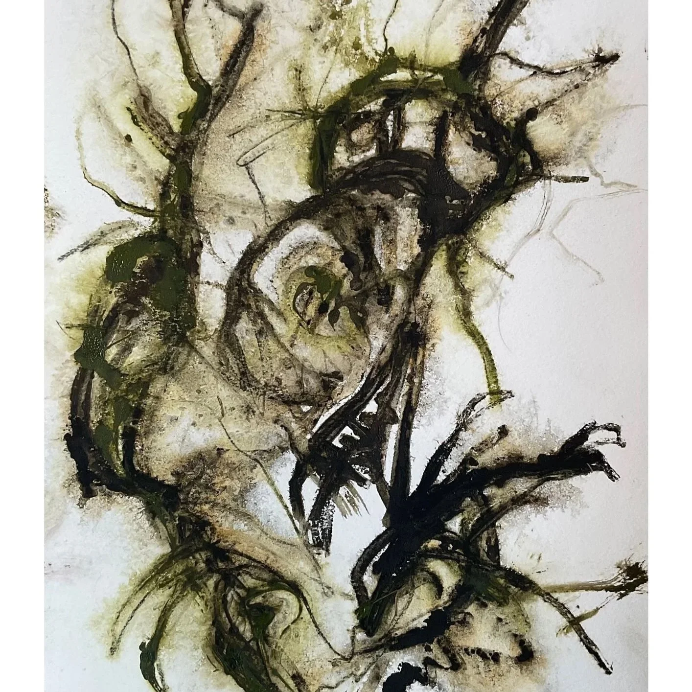 Weekly art show 12th January 2026