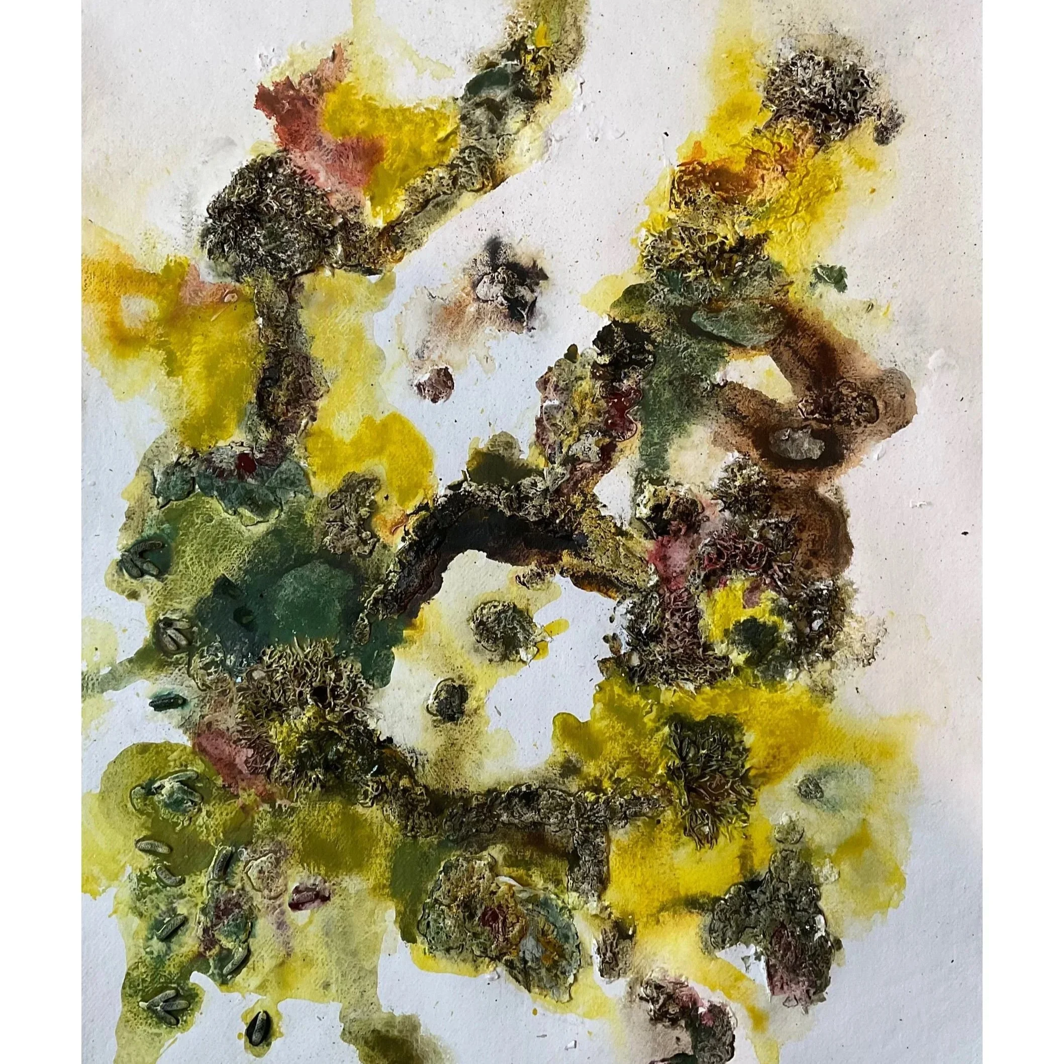 Weekly art show 19th January 2026 