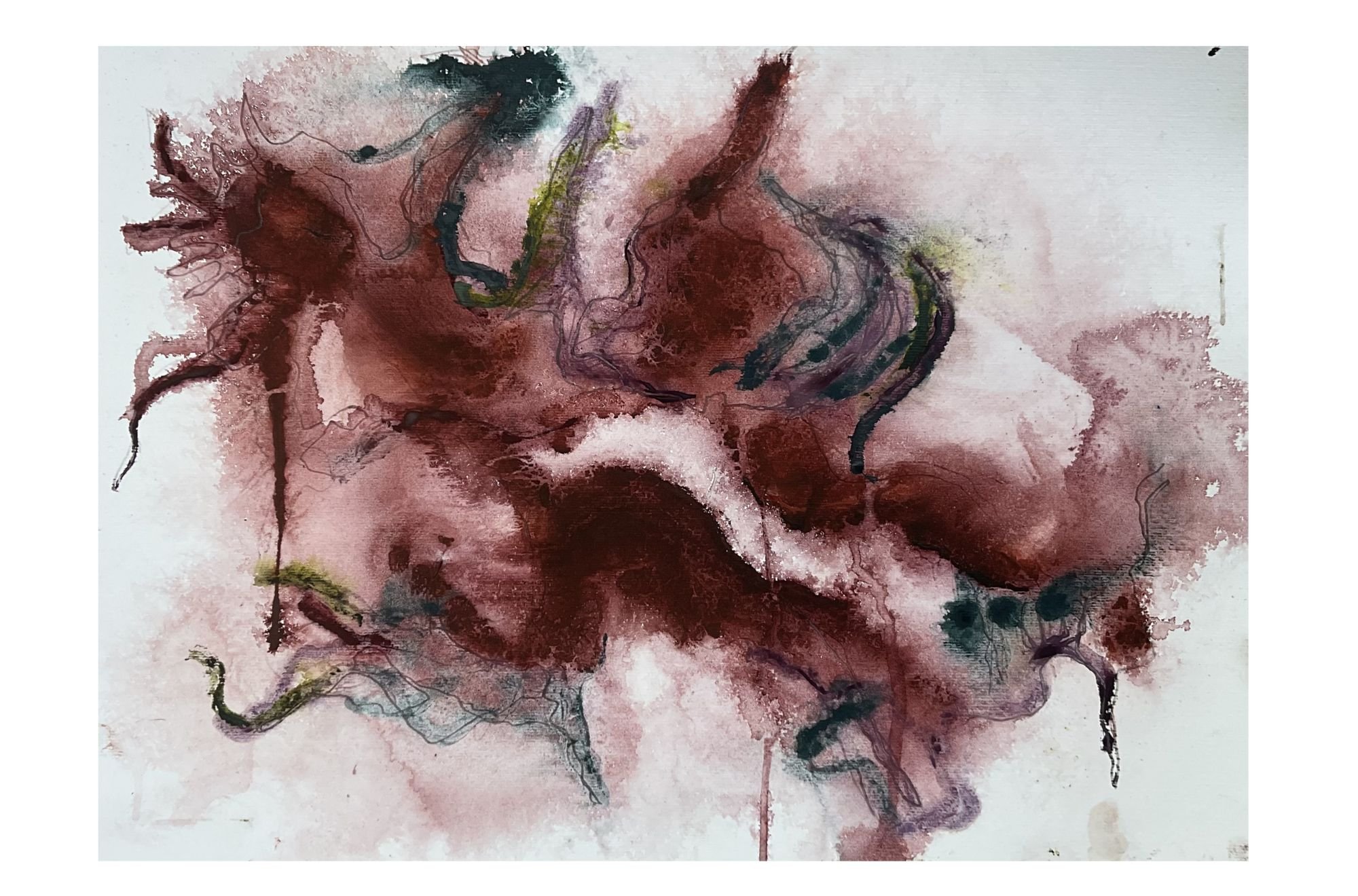 Forest Forms 24
