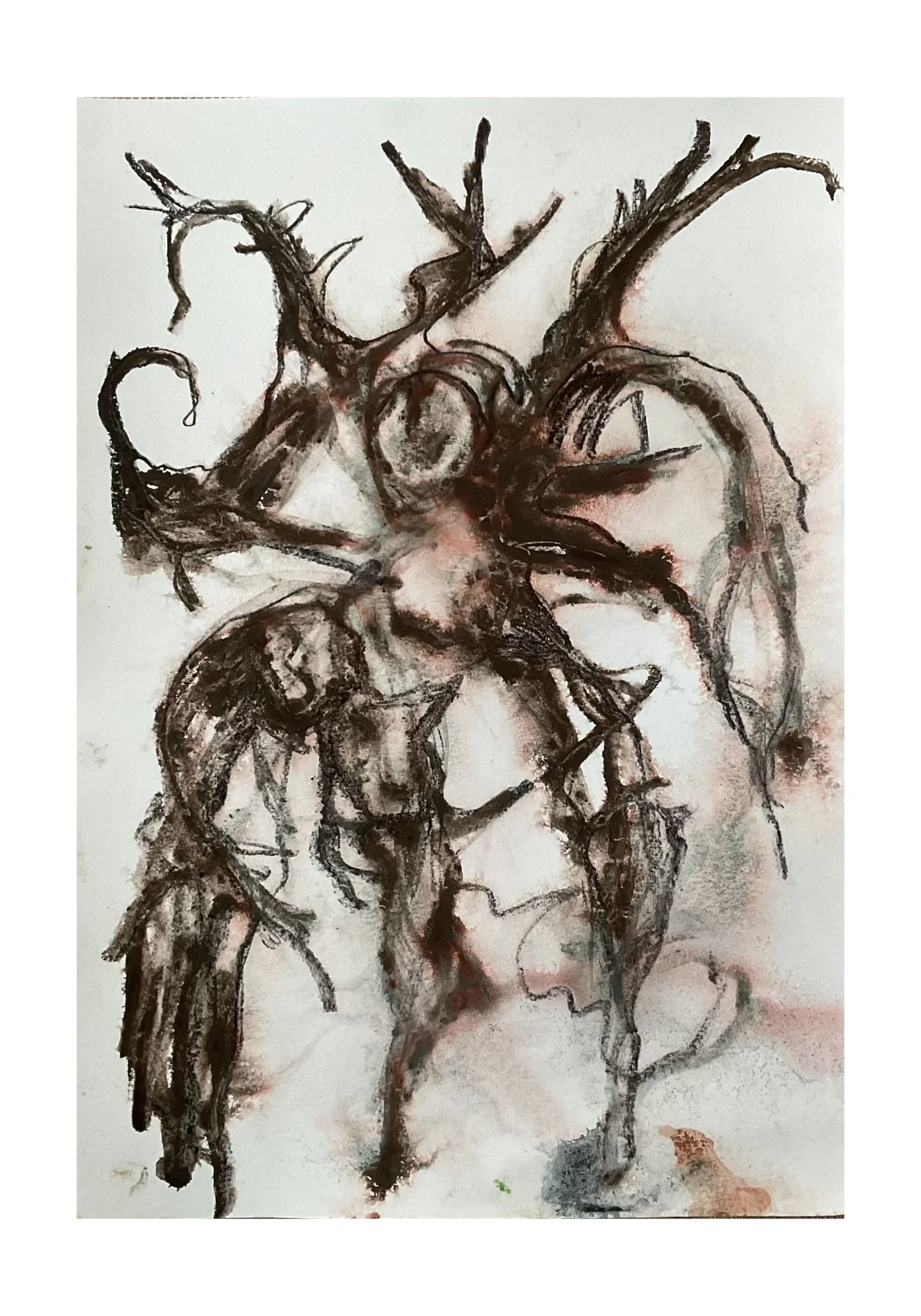 Forest Forms 13
