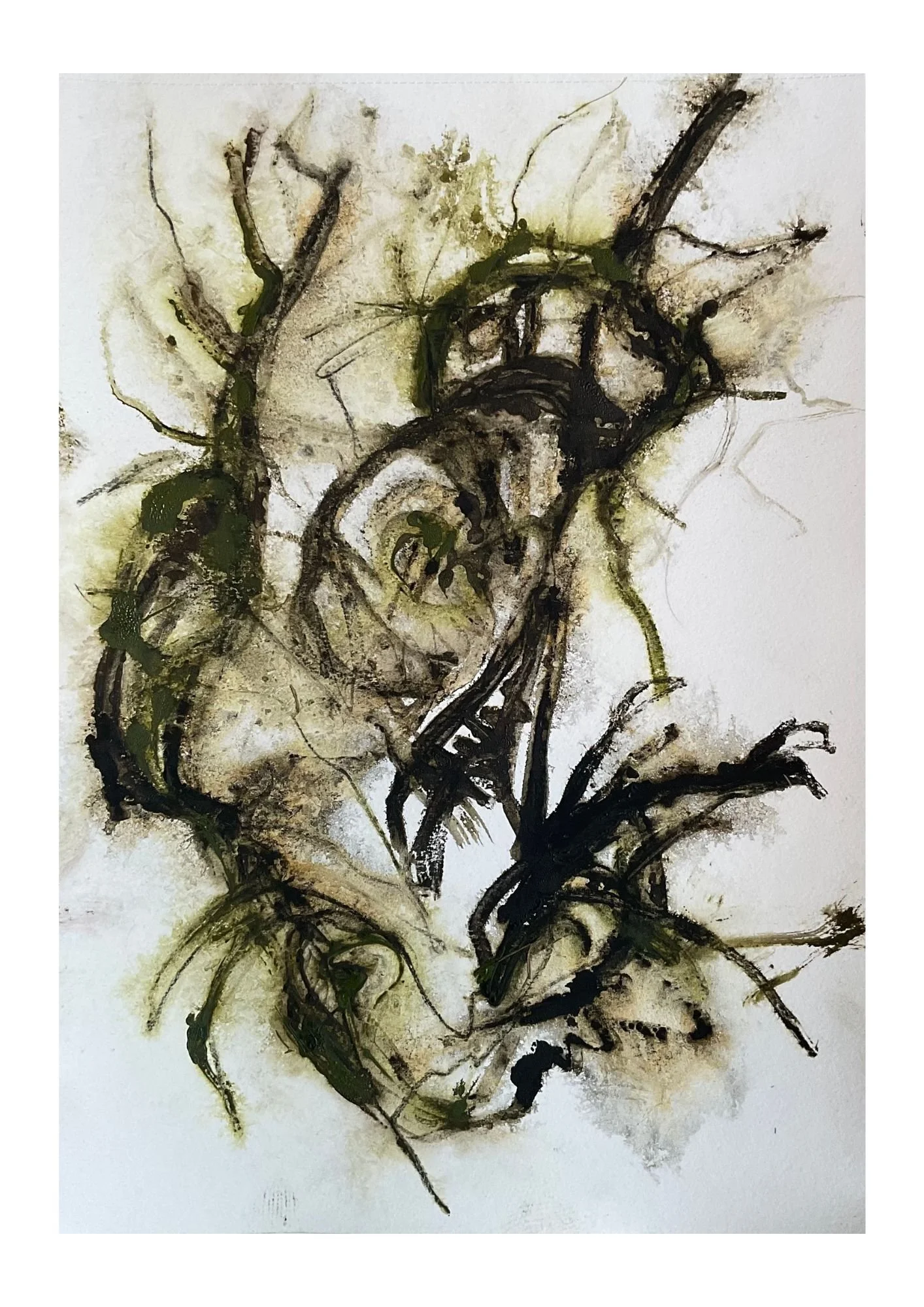 Wild Woodland Shapes ( Roots #1)