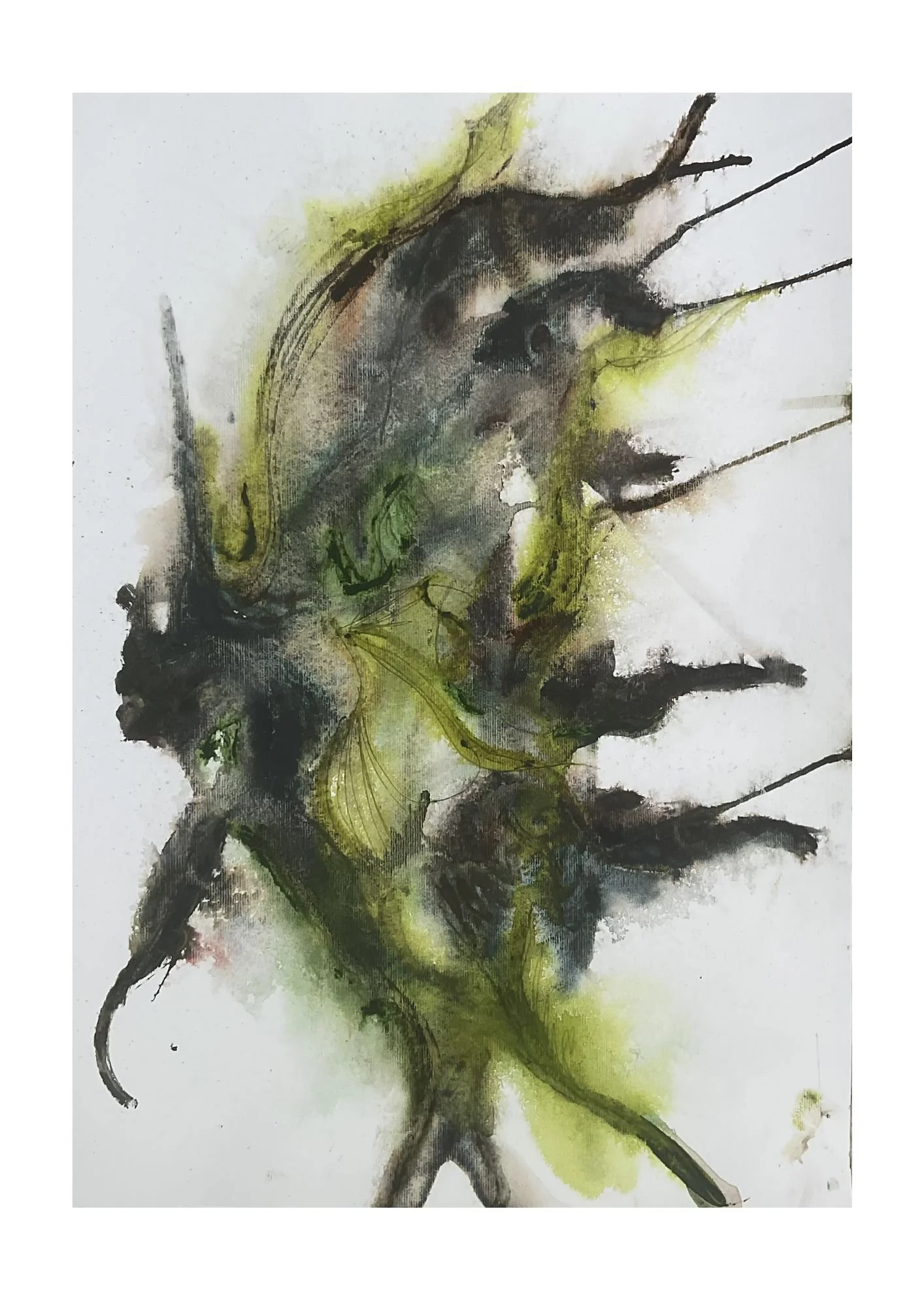 Forest Forms 23
