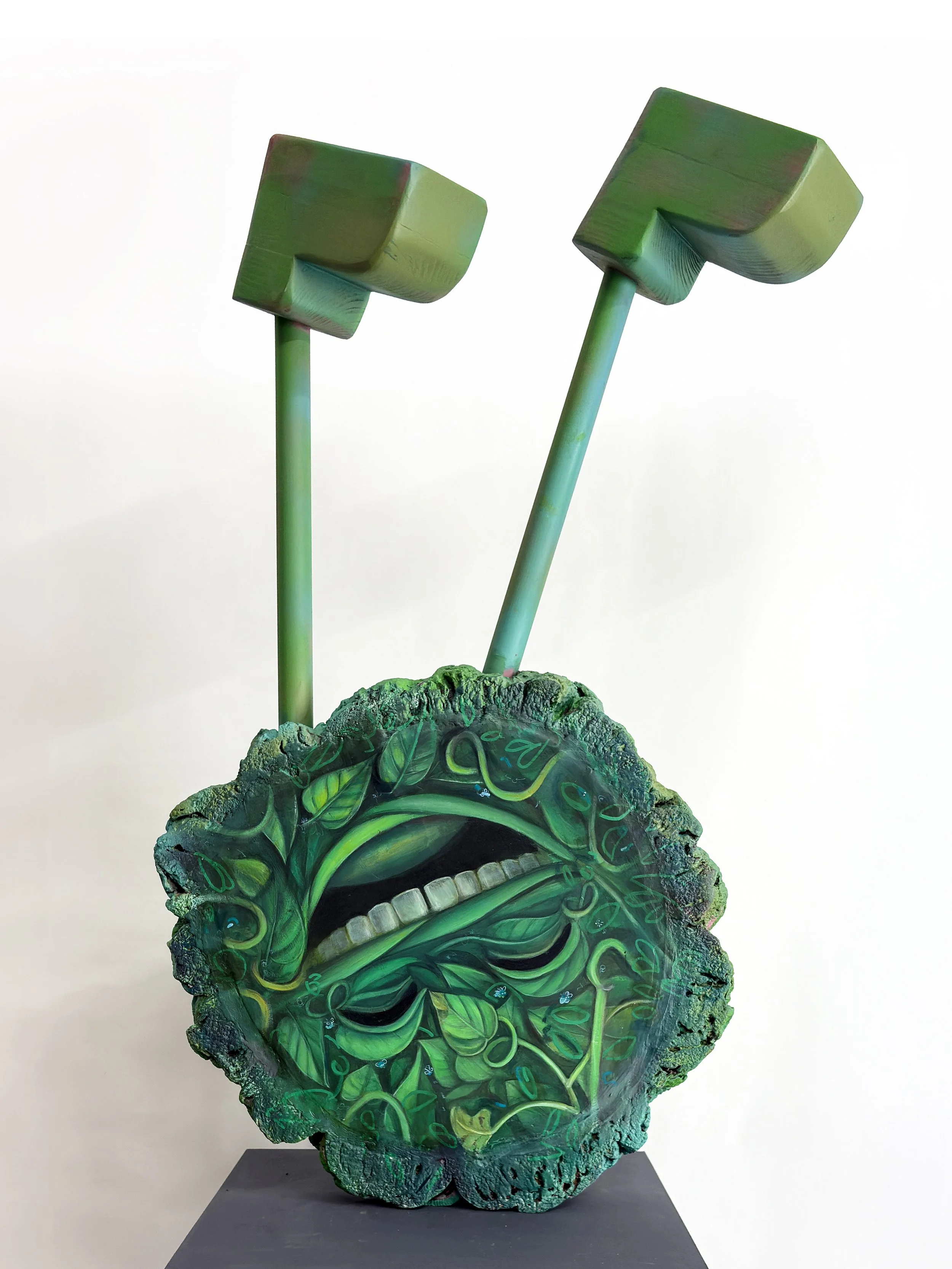 IMG_5395 copia 2xfgdgdfg copia.jpg