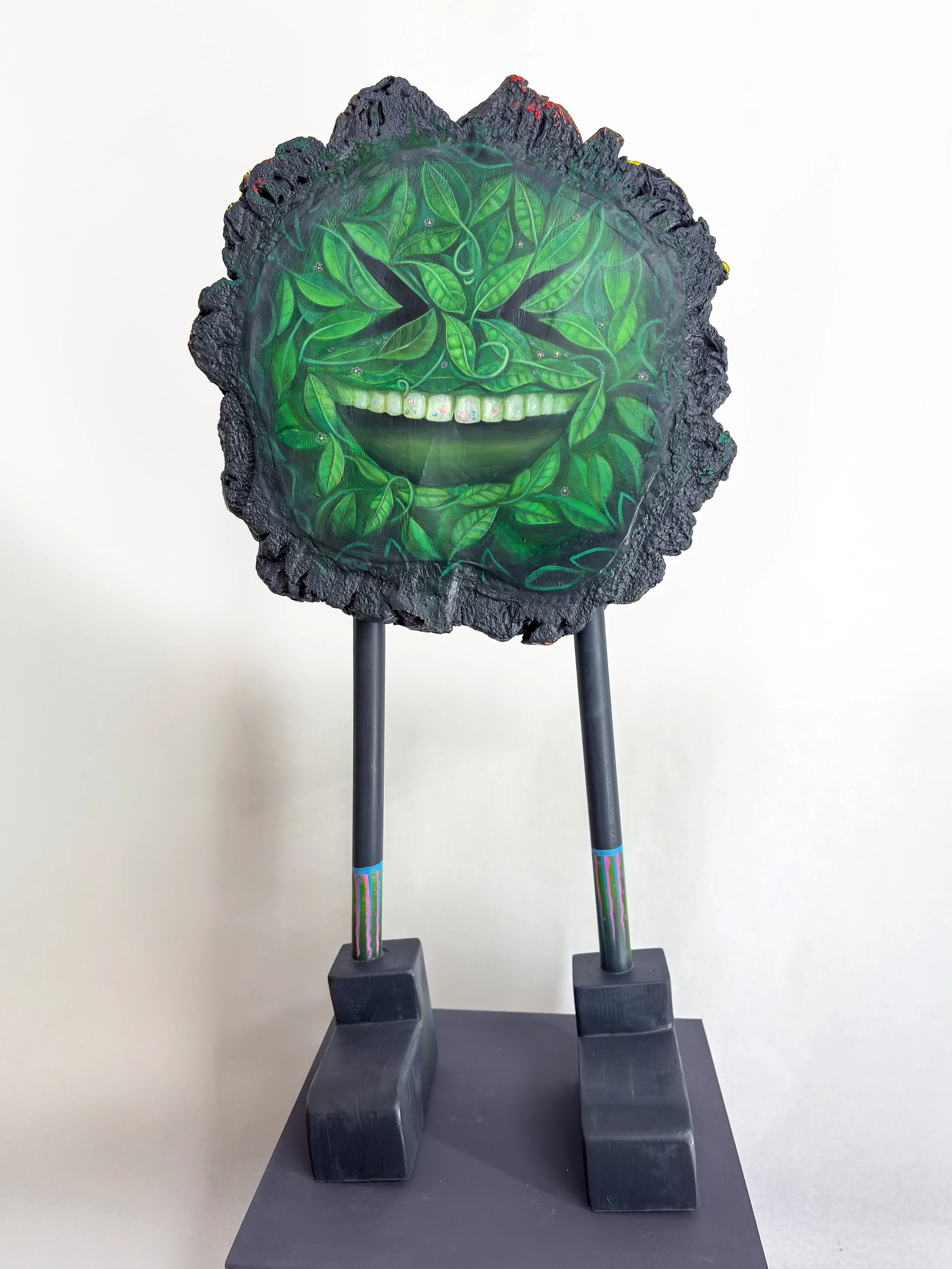 IMG_5395 copia fgfgfgffgggf copia.jpg