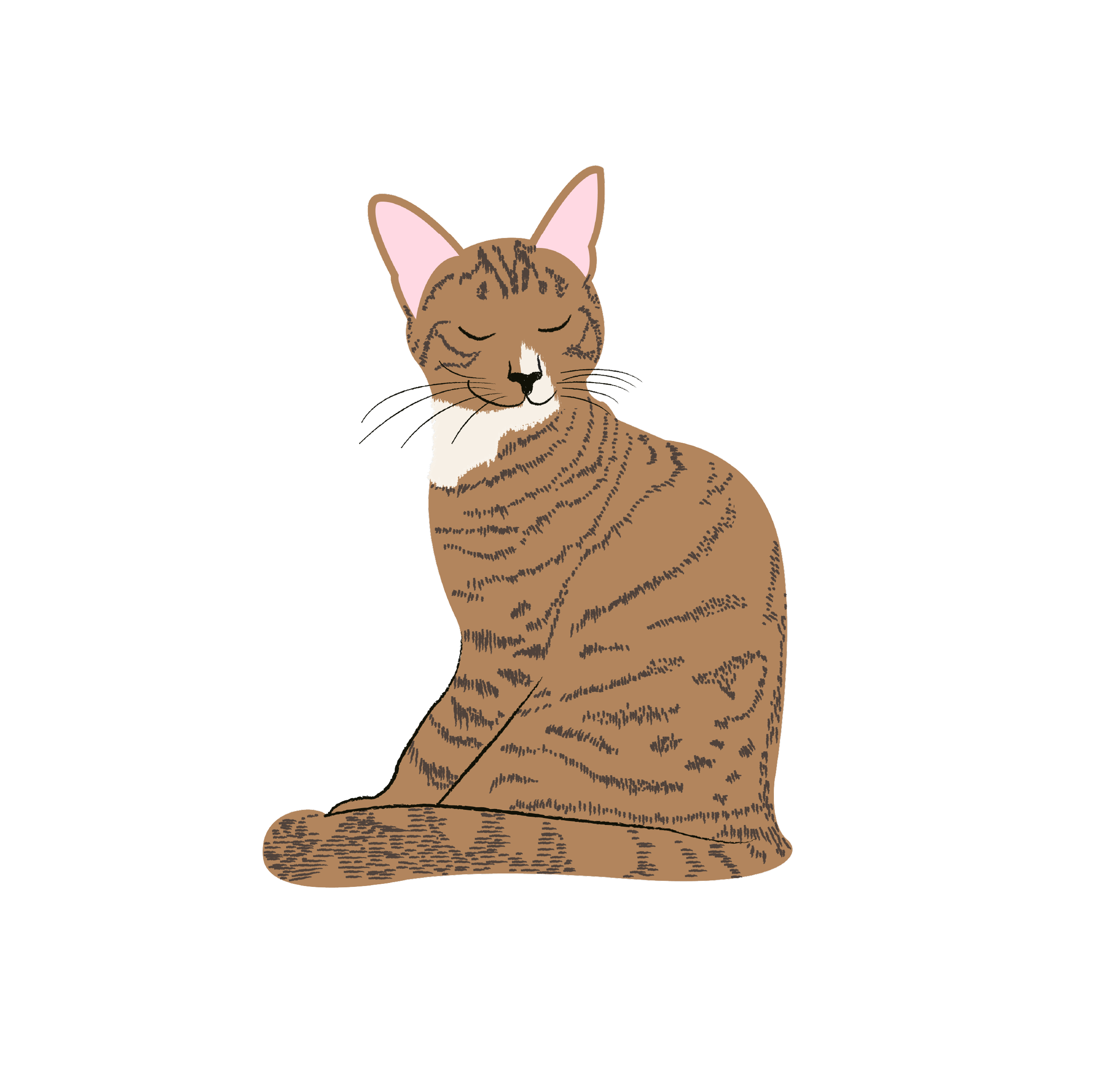 9Artboard 57 copy 6@2x.webp