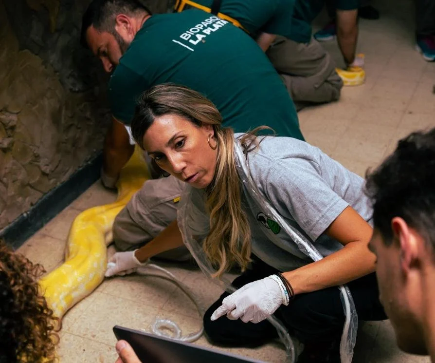 WhatsApp Image 2025-07-15 at 23.29.10 (9).jpeg