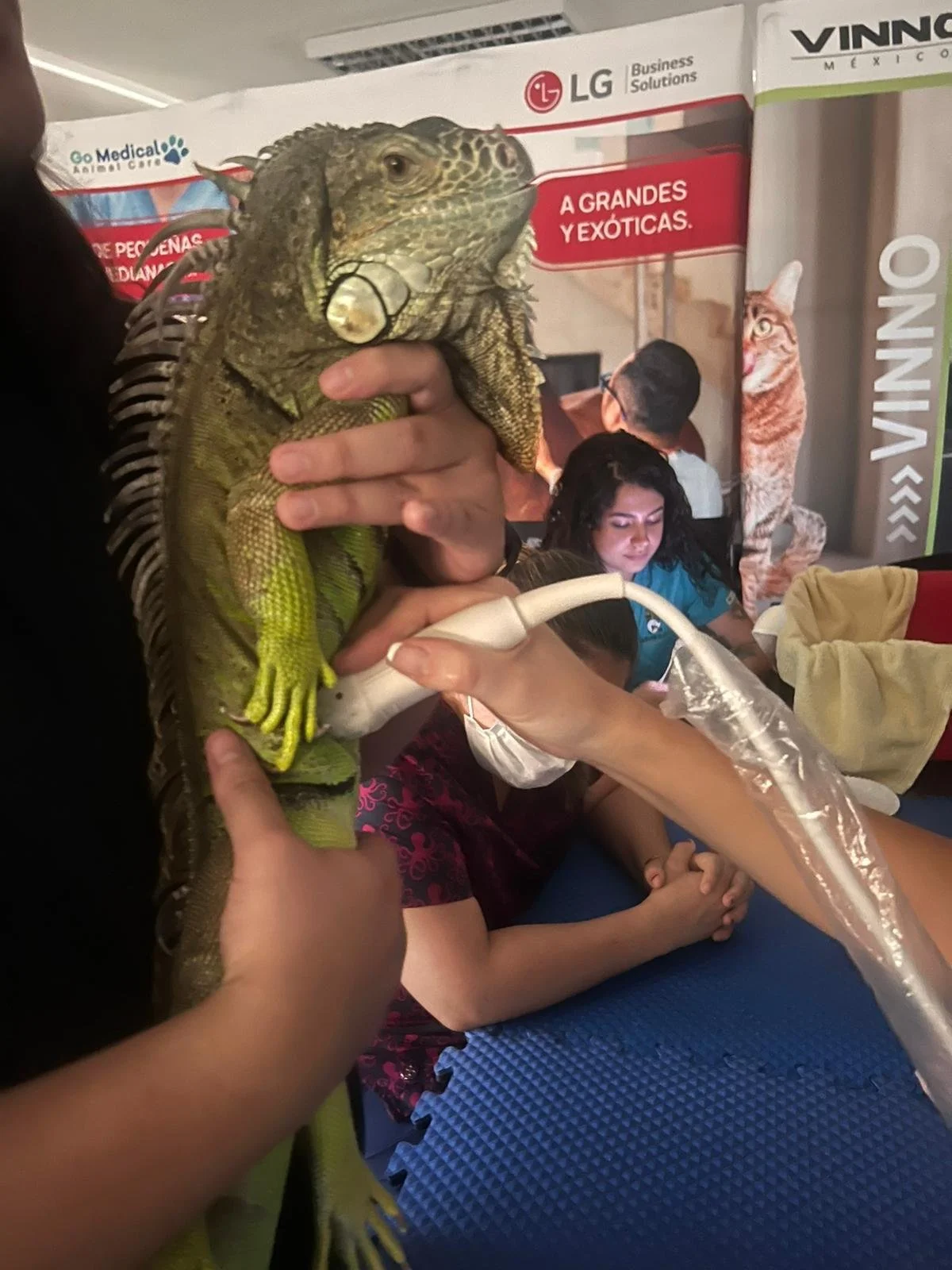 WhatsApp Image 2025-07-15 at 23.00.14 (2).jpeg