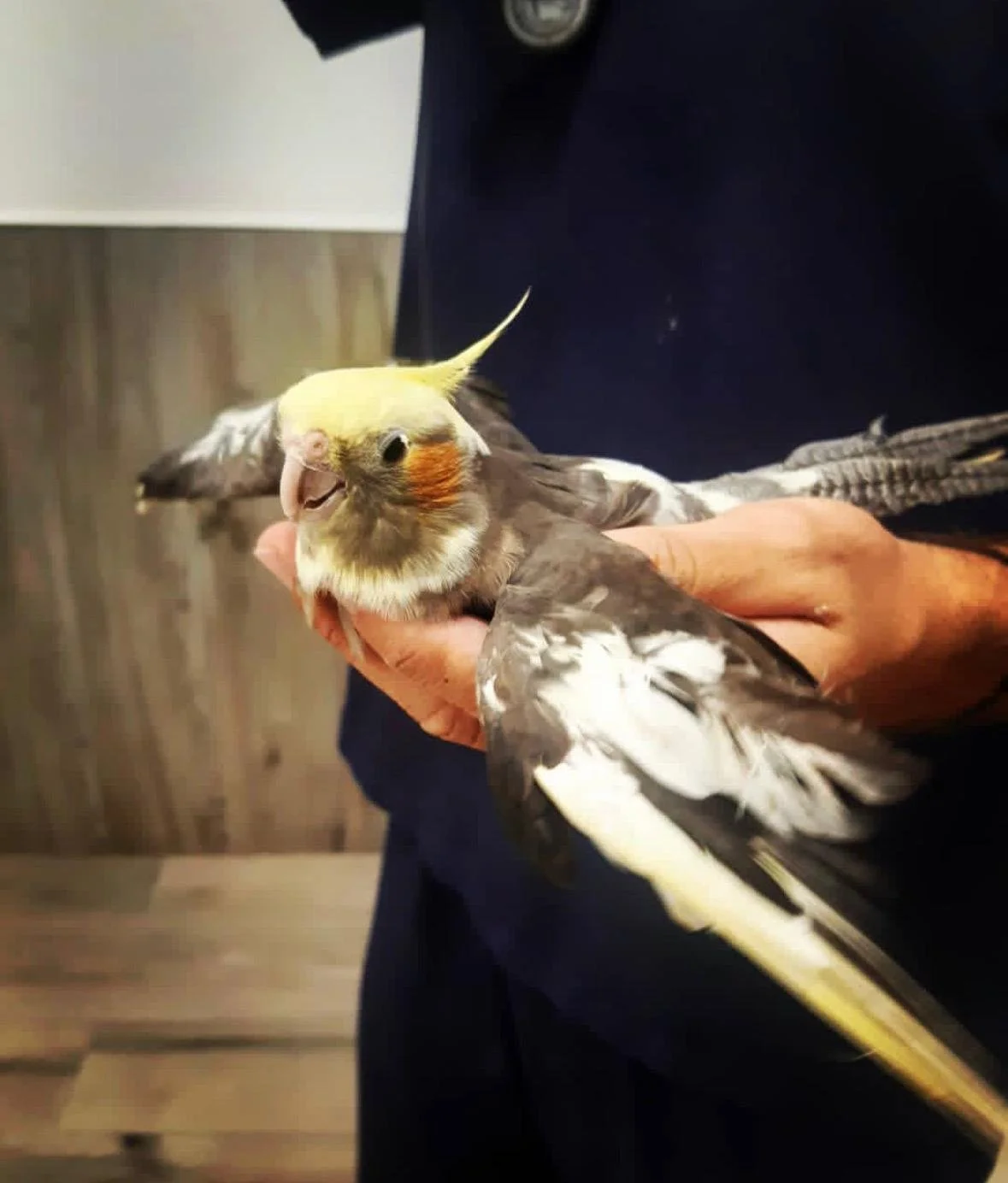 WhatsApp Image 2025-12-26 at 14.54.30.jpeg