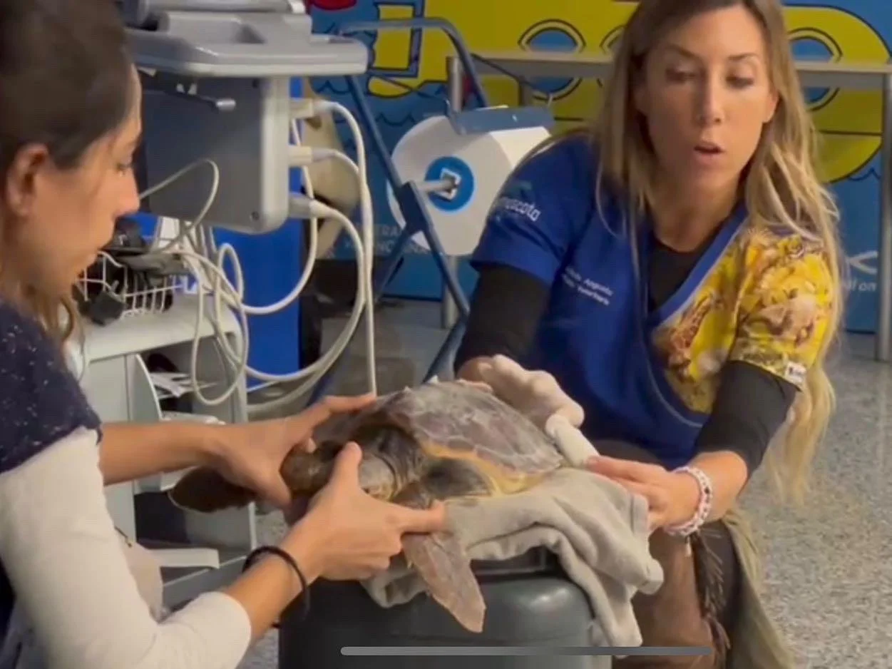 WhatsApp Image 2025-07-15 at 22.50.41 (15).jpeg