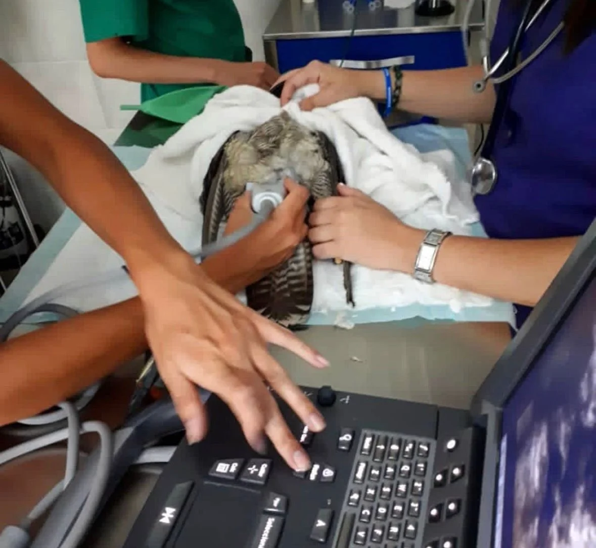 WhatsApp Image 2025-12-26 at 14.54.20.jpeg