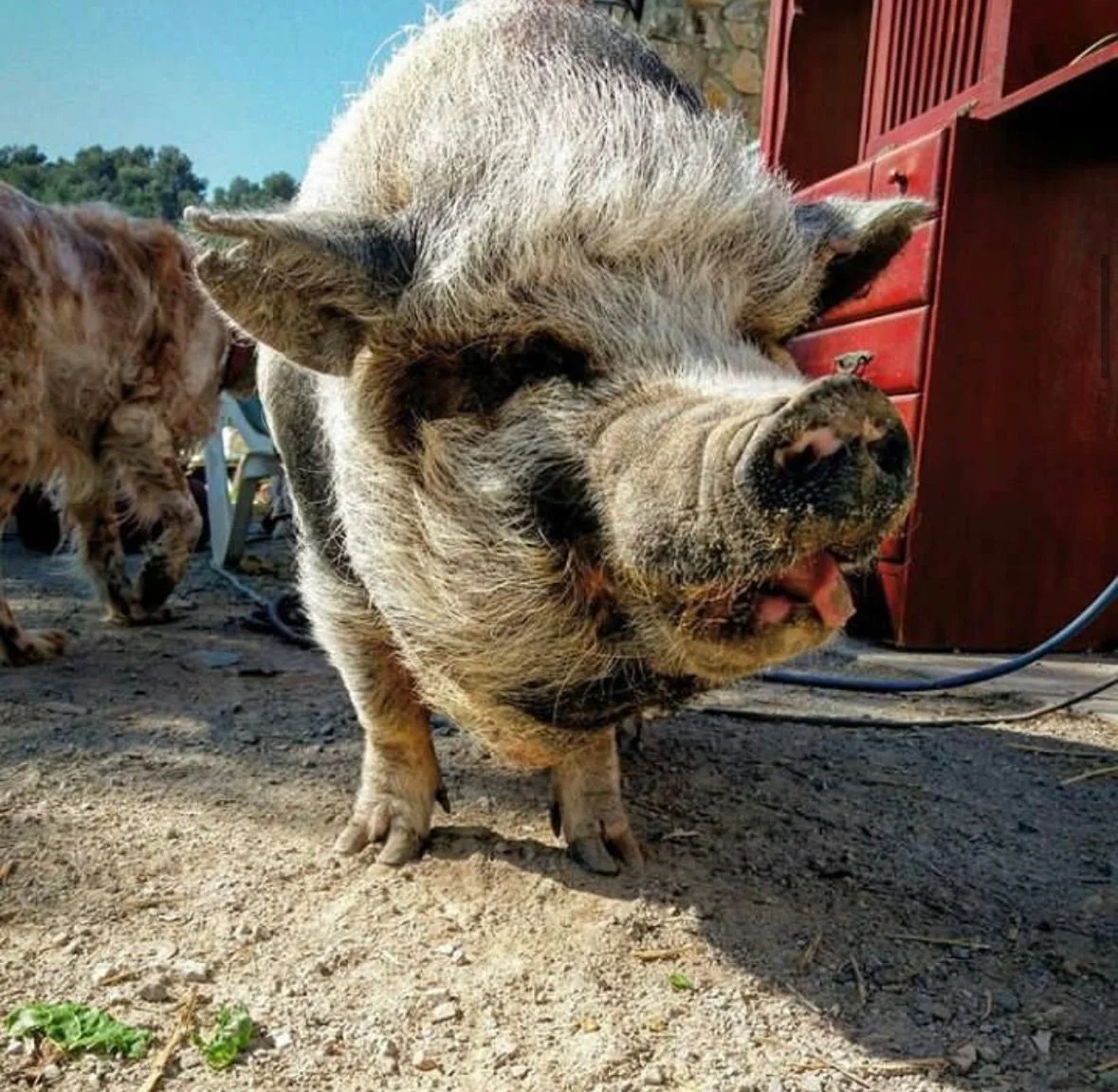 WhatsApp Image 2025-12-26 at 14.54.18.jpeg