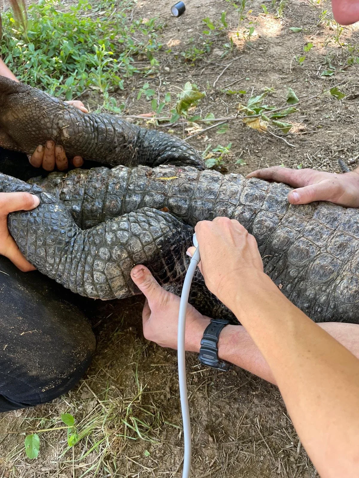 WhatsApp Image 2025-07-15 at 22.50.41 (2).jpeg