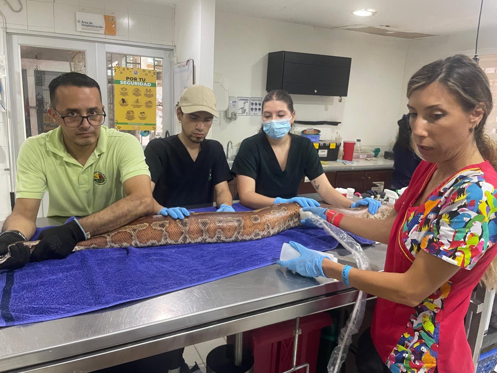 WhatsApp Image 2025-07-15 at 23.18.42 (3).jpeg