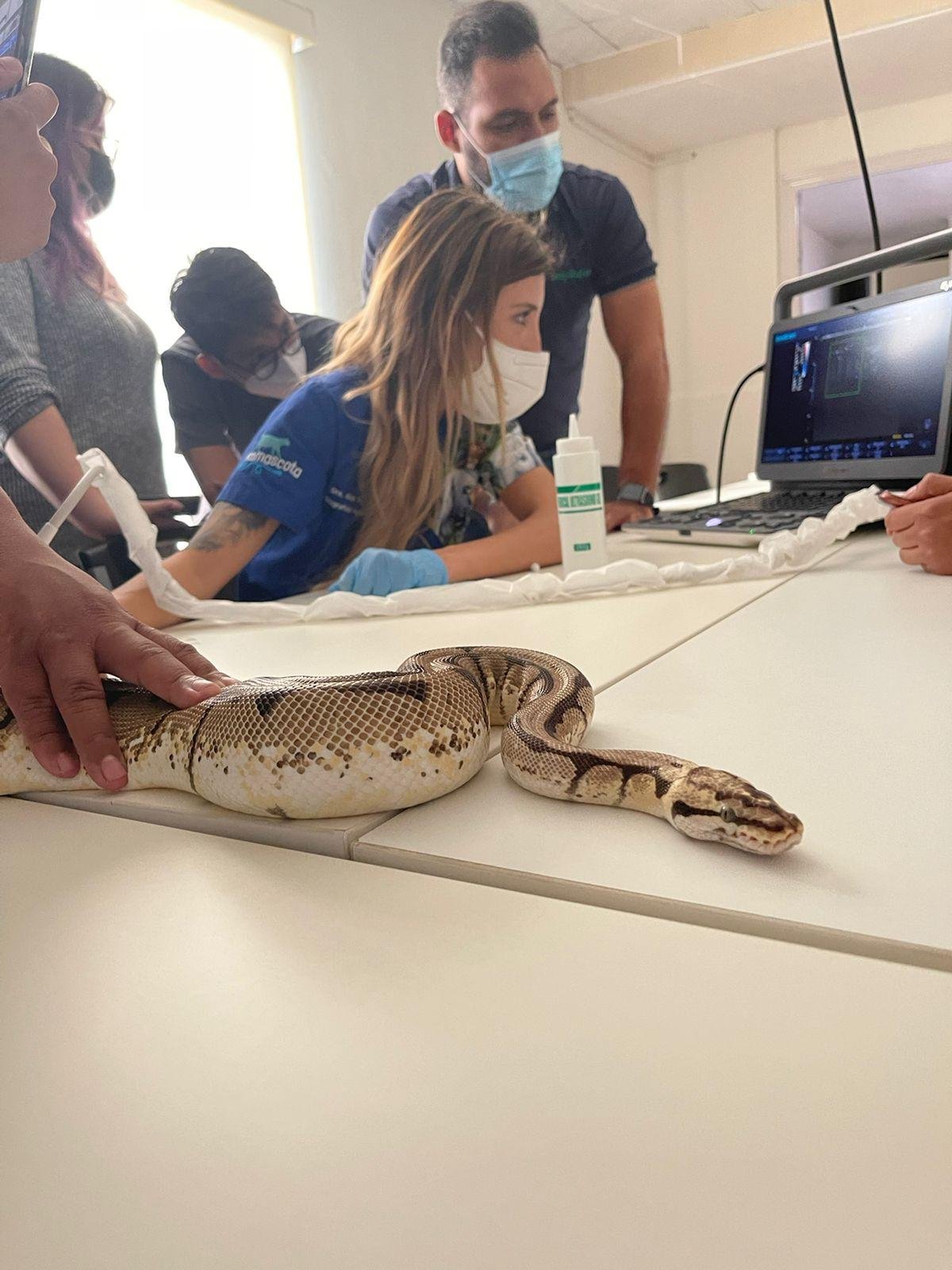 WhatsApp Image 2025-07-15 at 22.50.40.jpeg