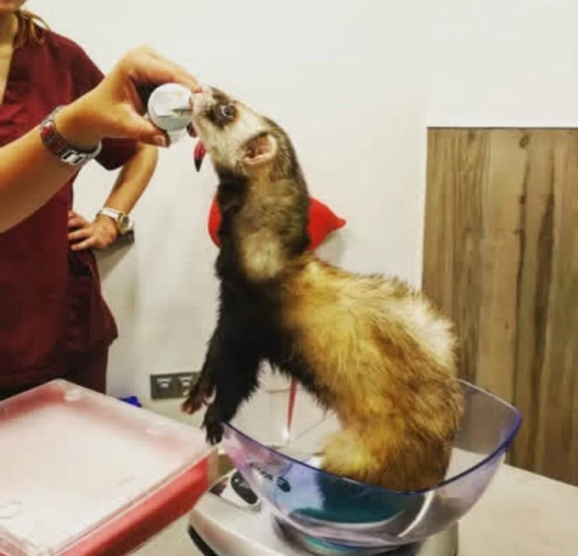 WhatsApp Image 2025-12-26 at 14.54.19.jpeg